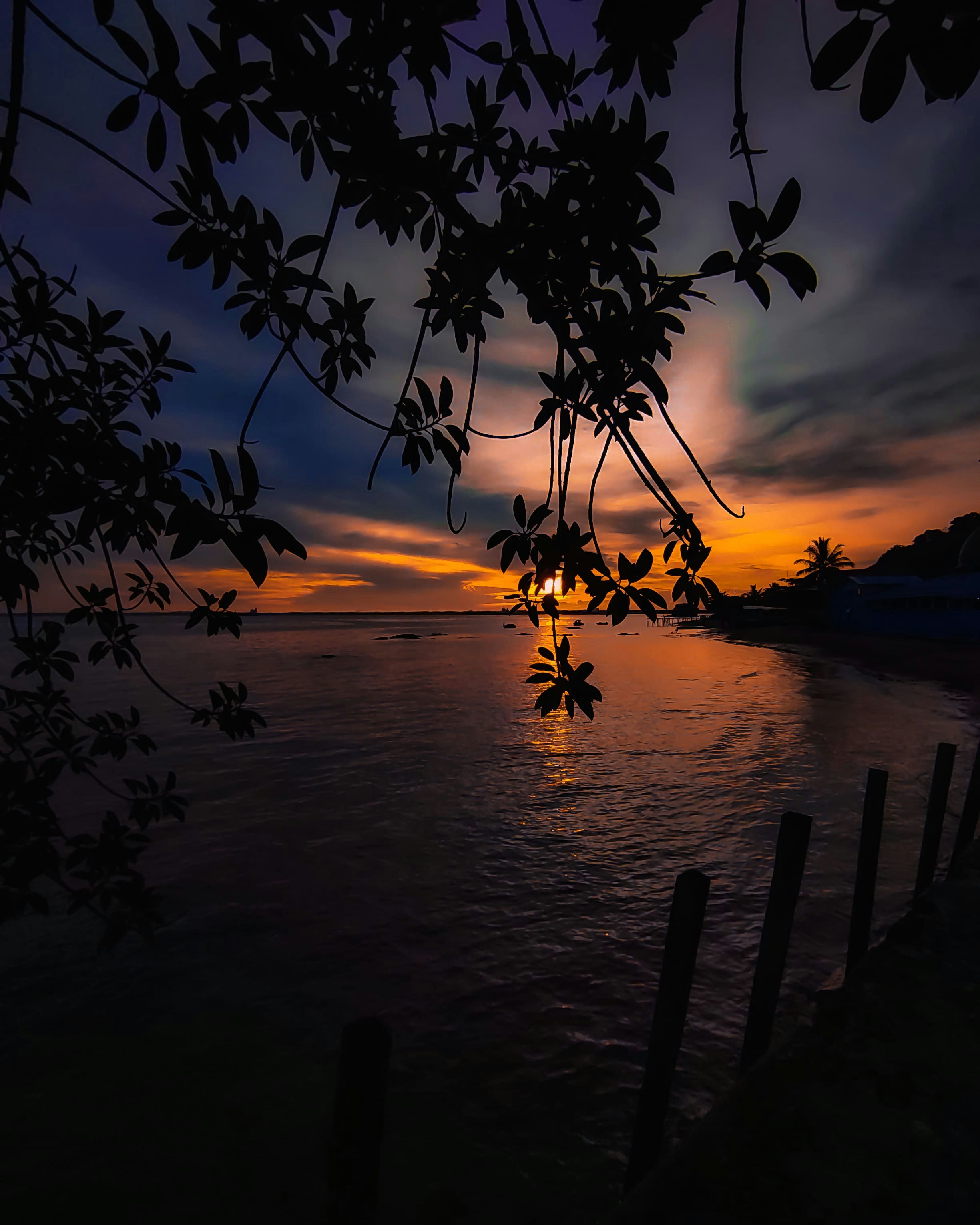 Photo by adisurya1310