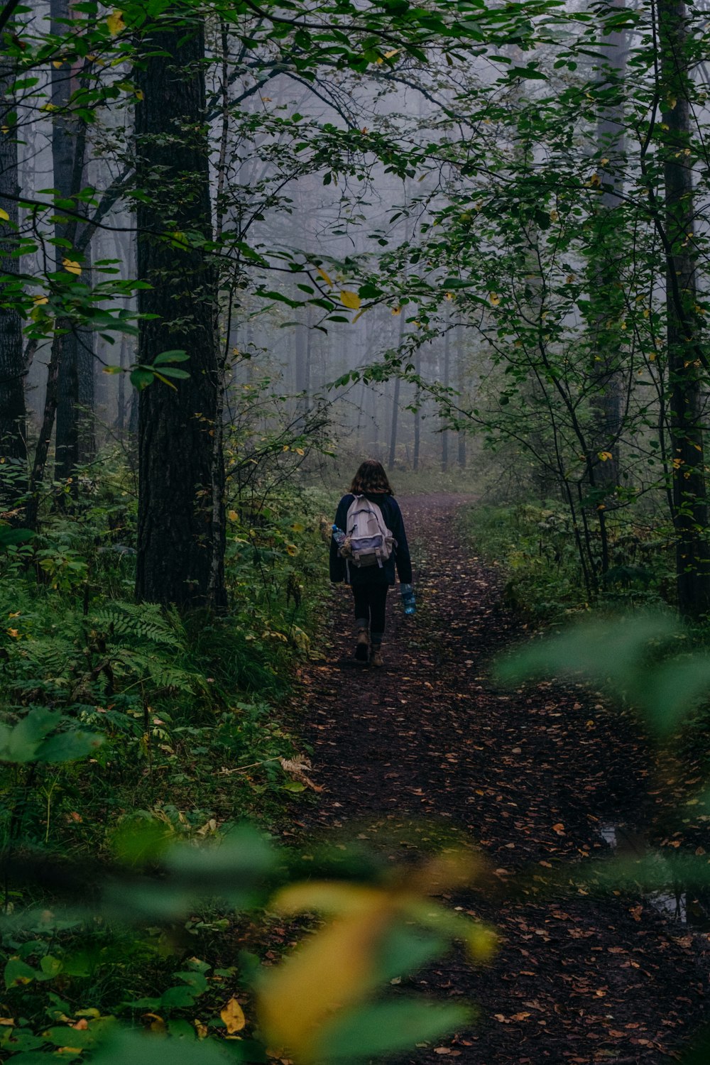 a person with a backpack walking through a forest