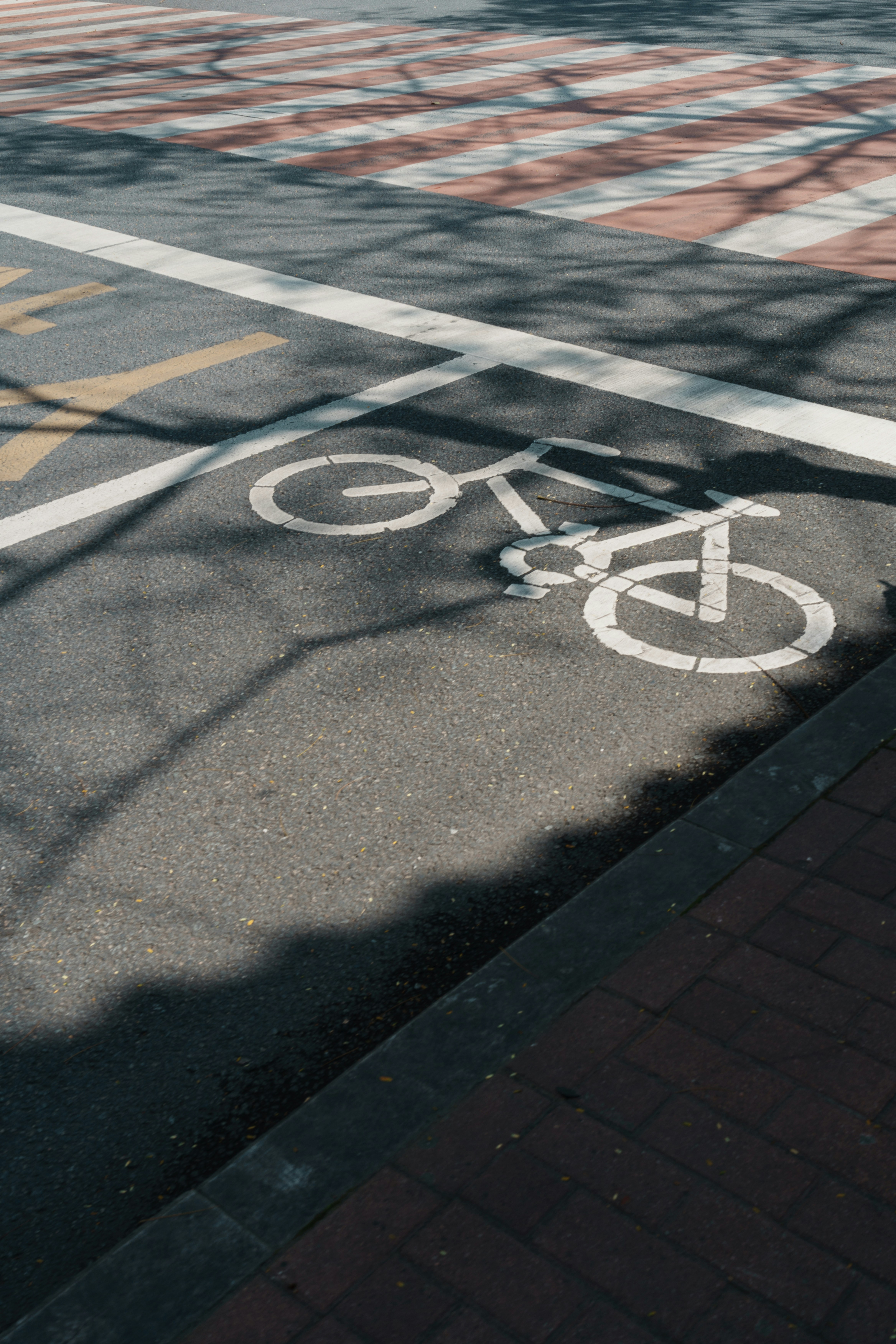 Photo by toxicsmoker