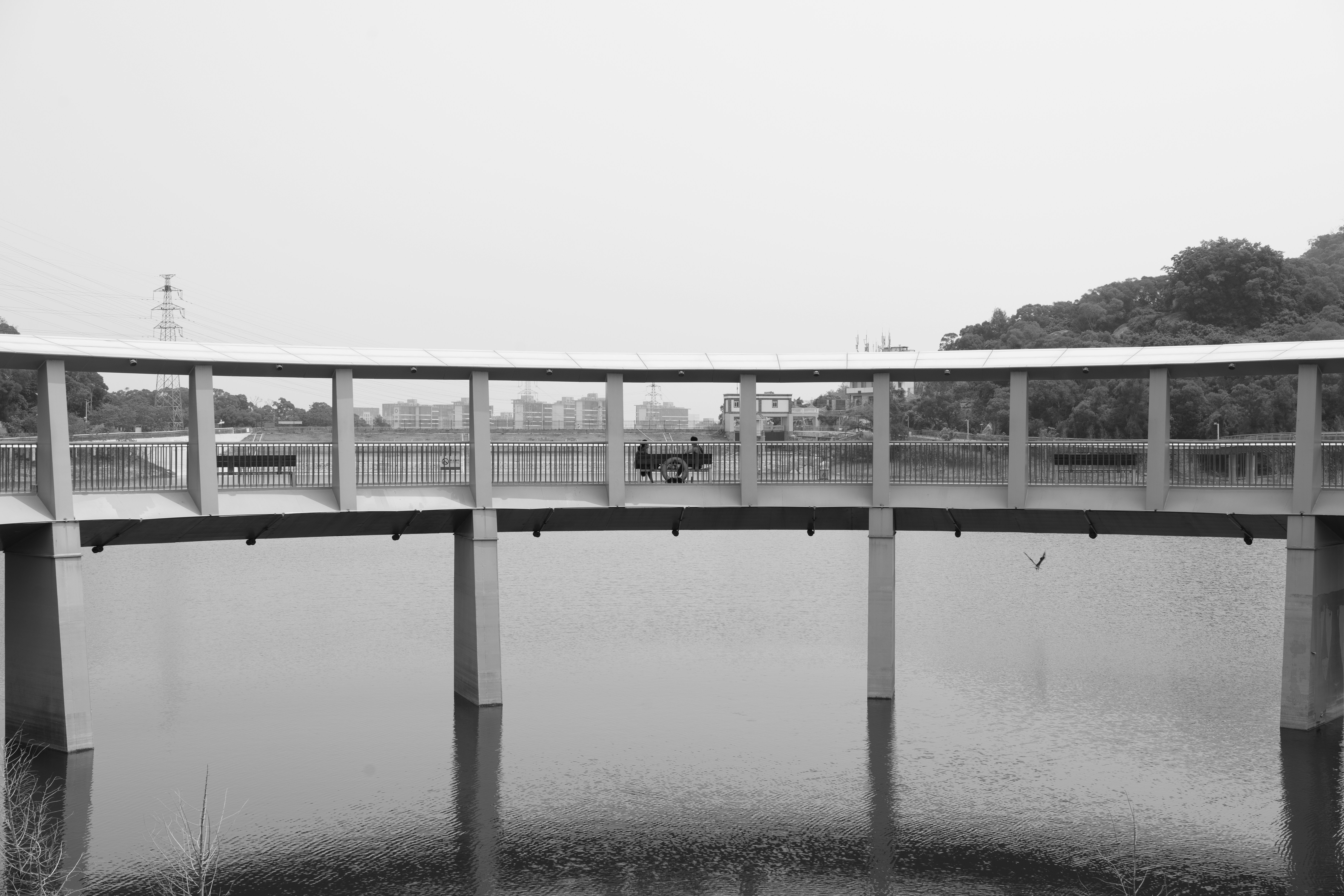 Photo by toxicsmoker