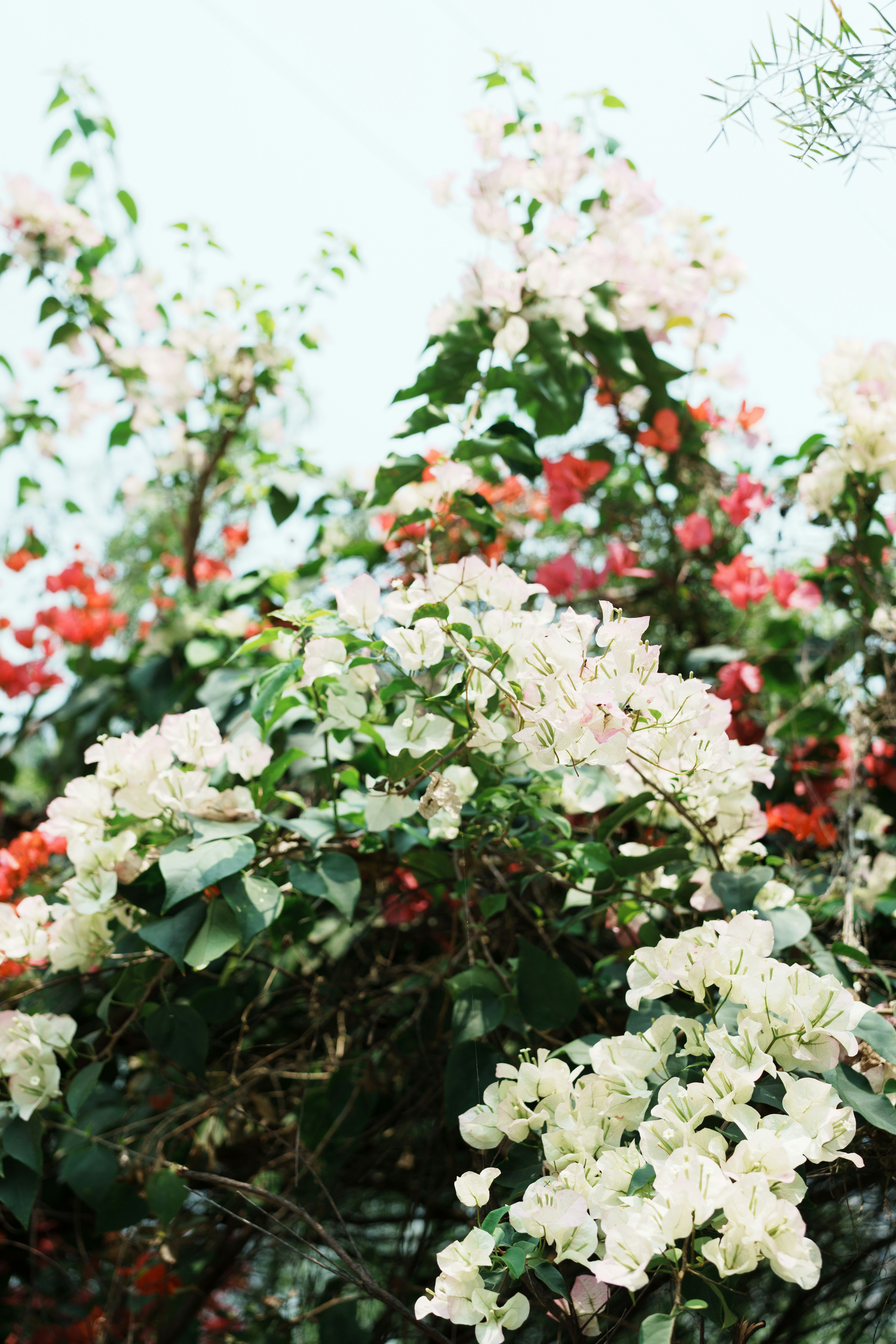 Photo by toxicsmoker