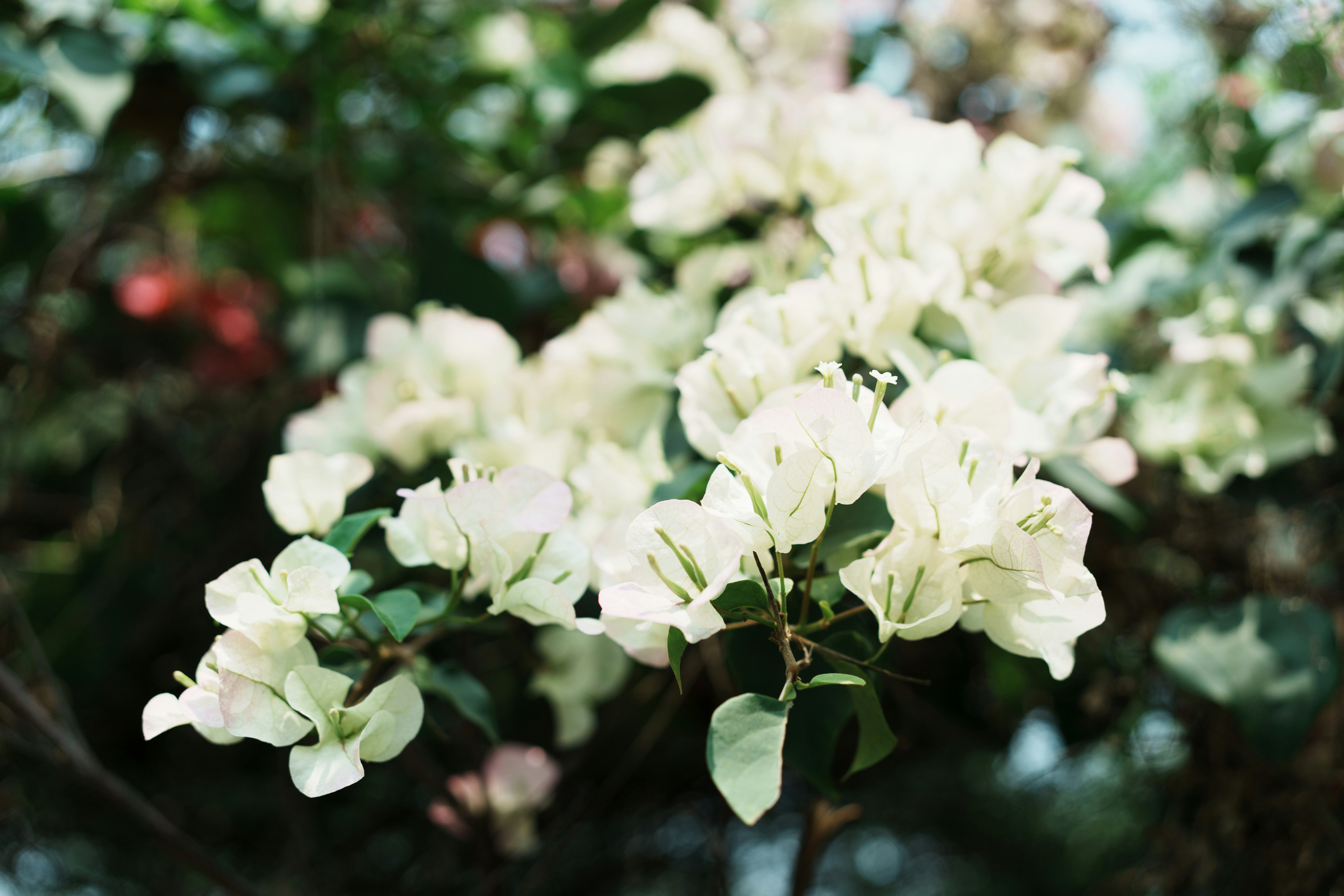 Photo by toxicsmoker