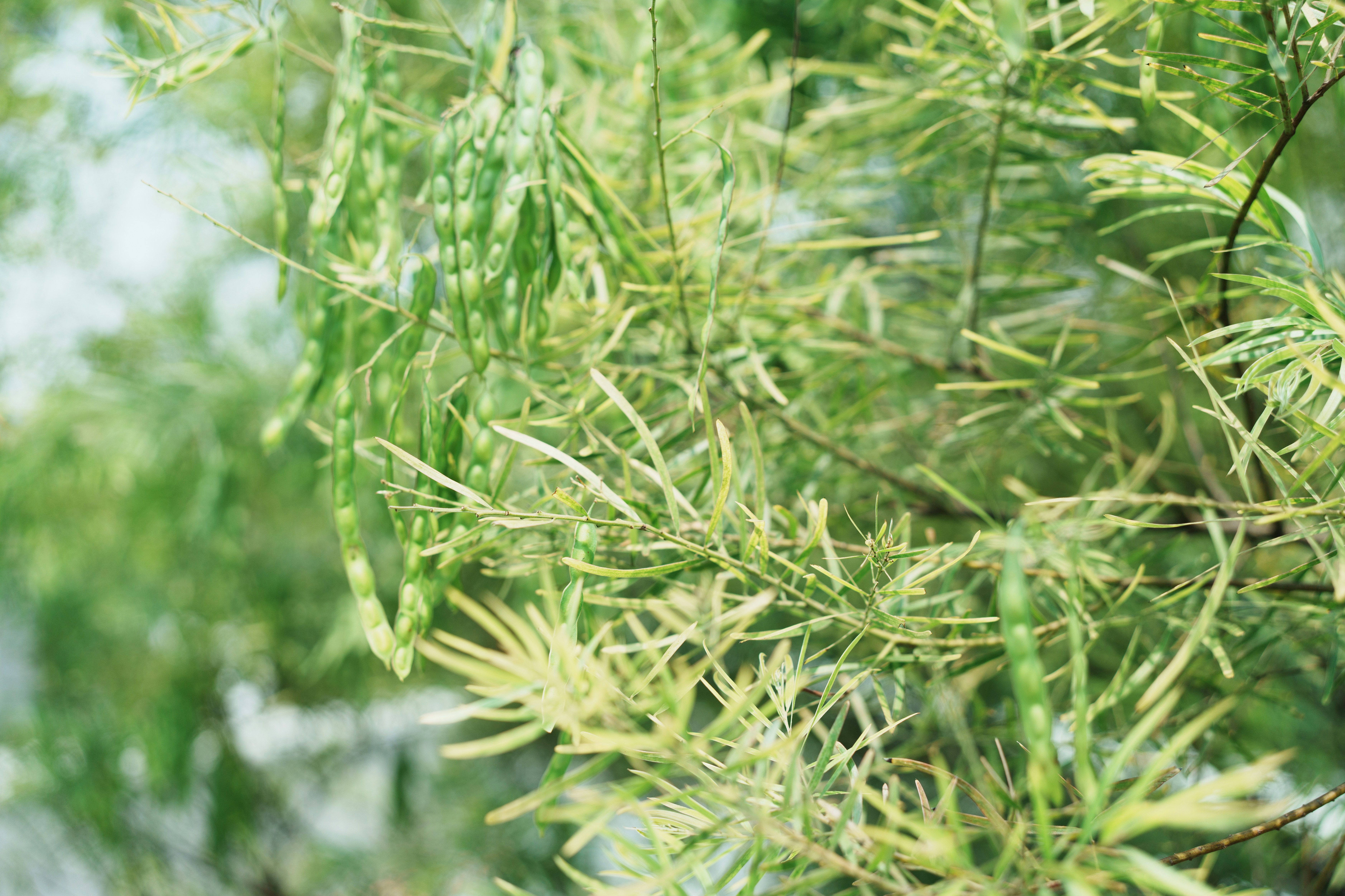 Photo by toxicsmoker