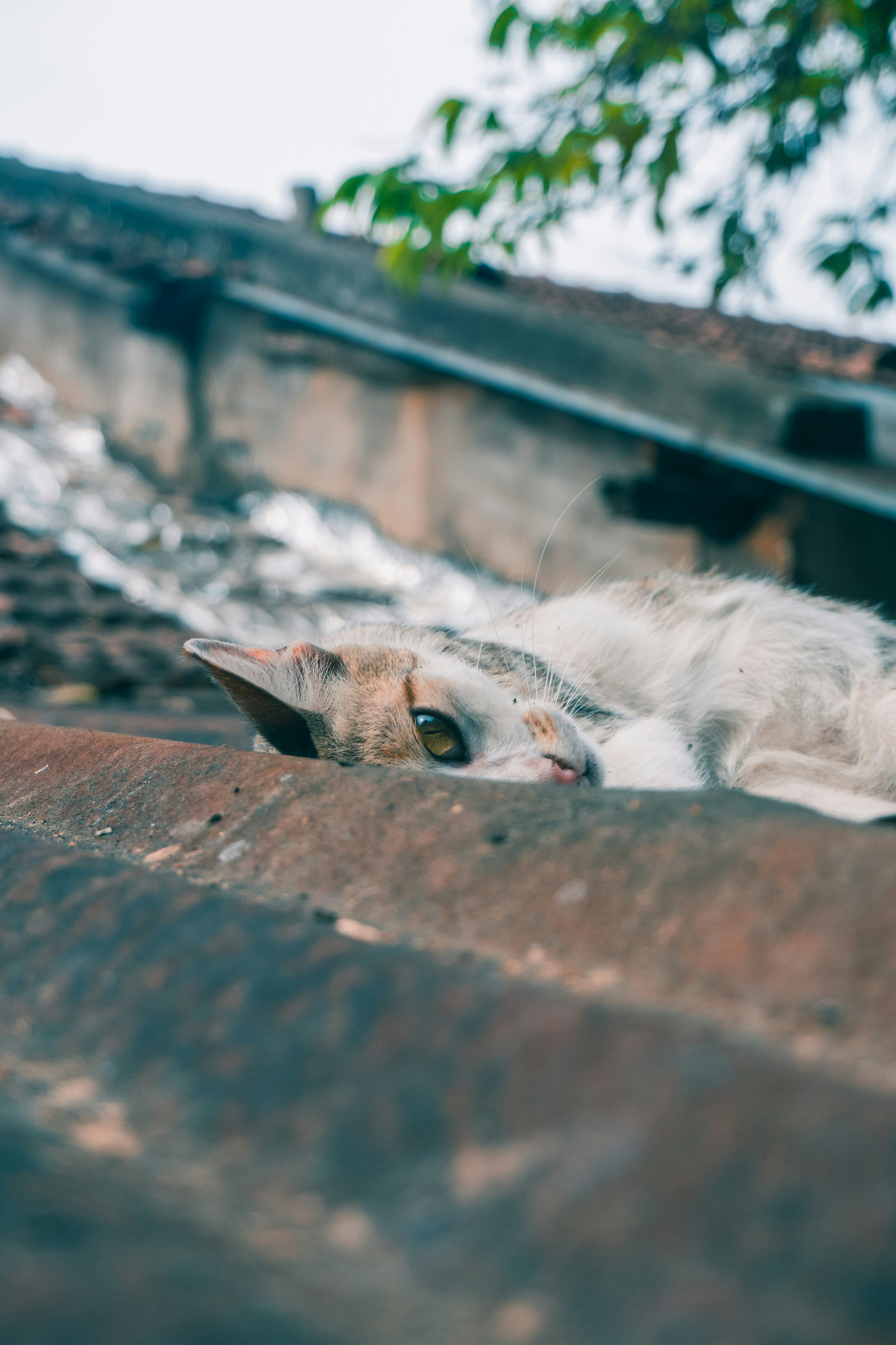 Photo by drupad_sachania