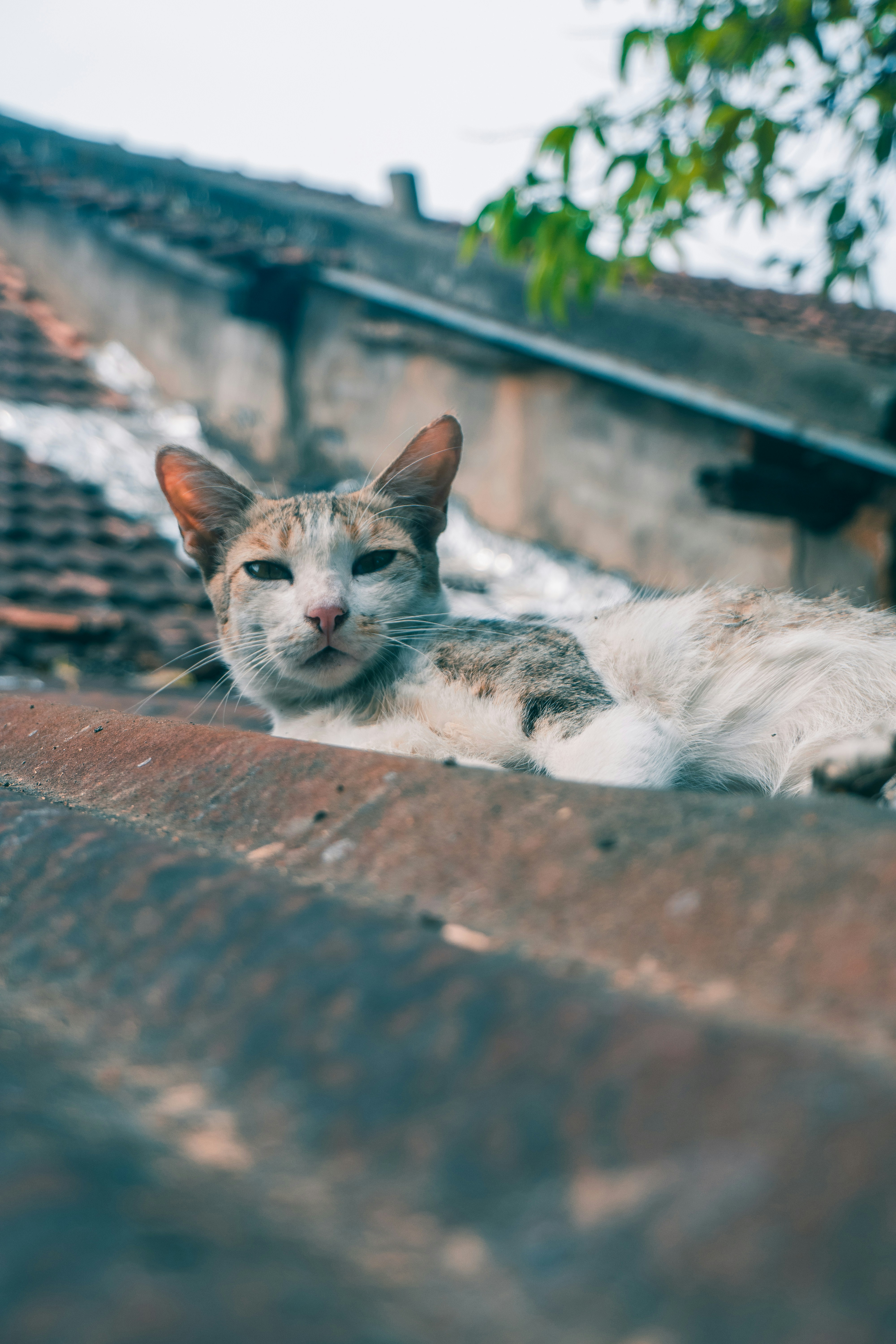 Photo by drupad_sachania