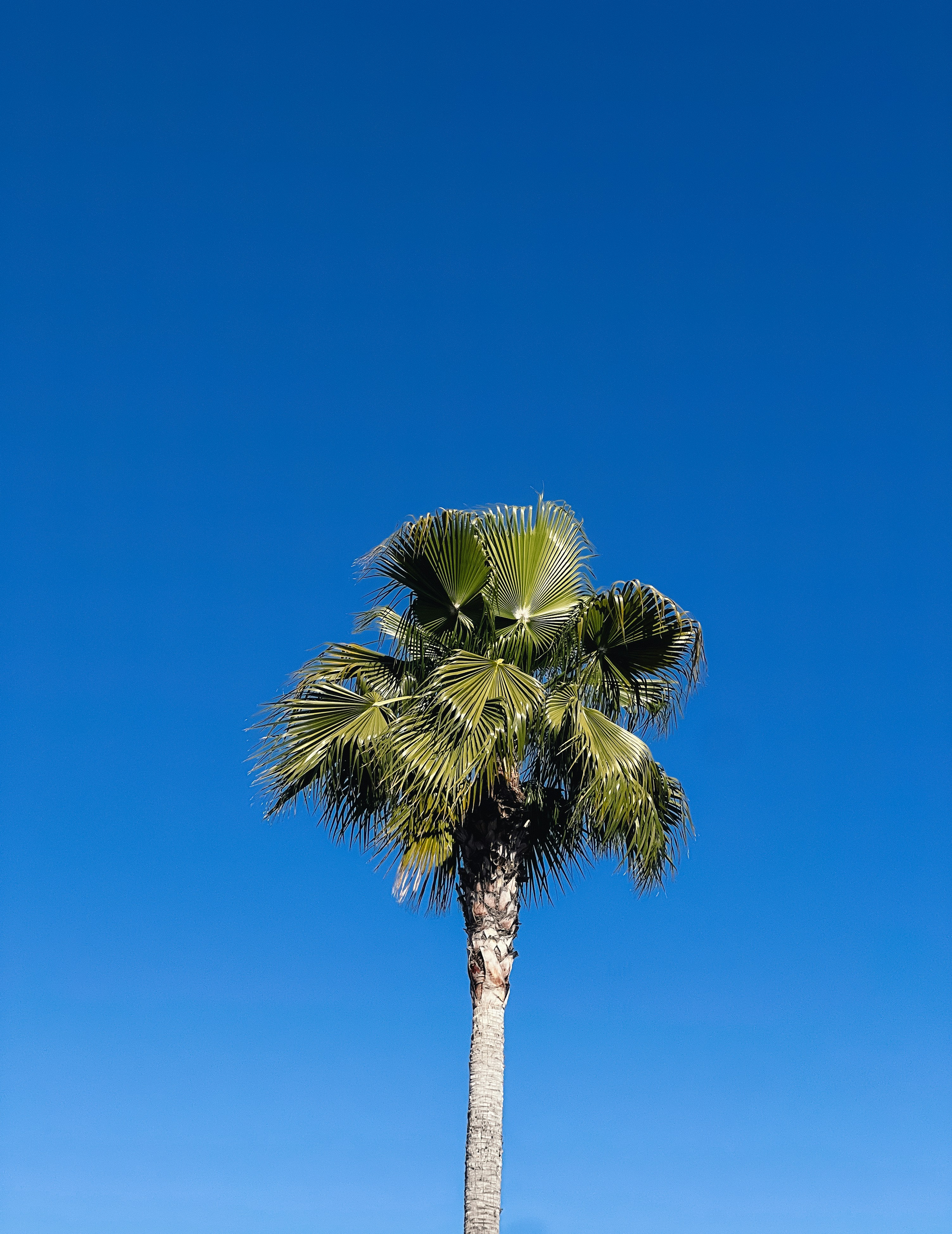 Photo by southcypress