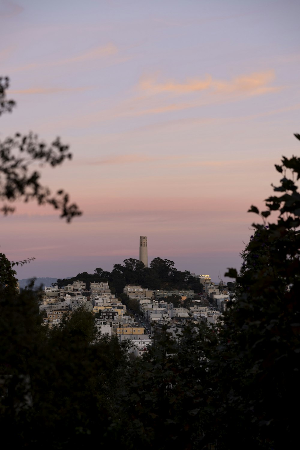 a view of a city with a tower in the distance