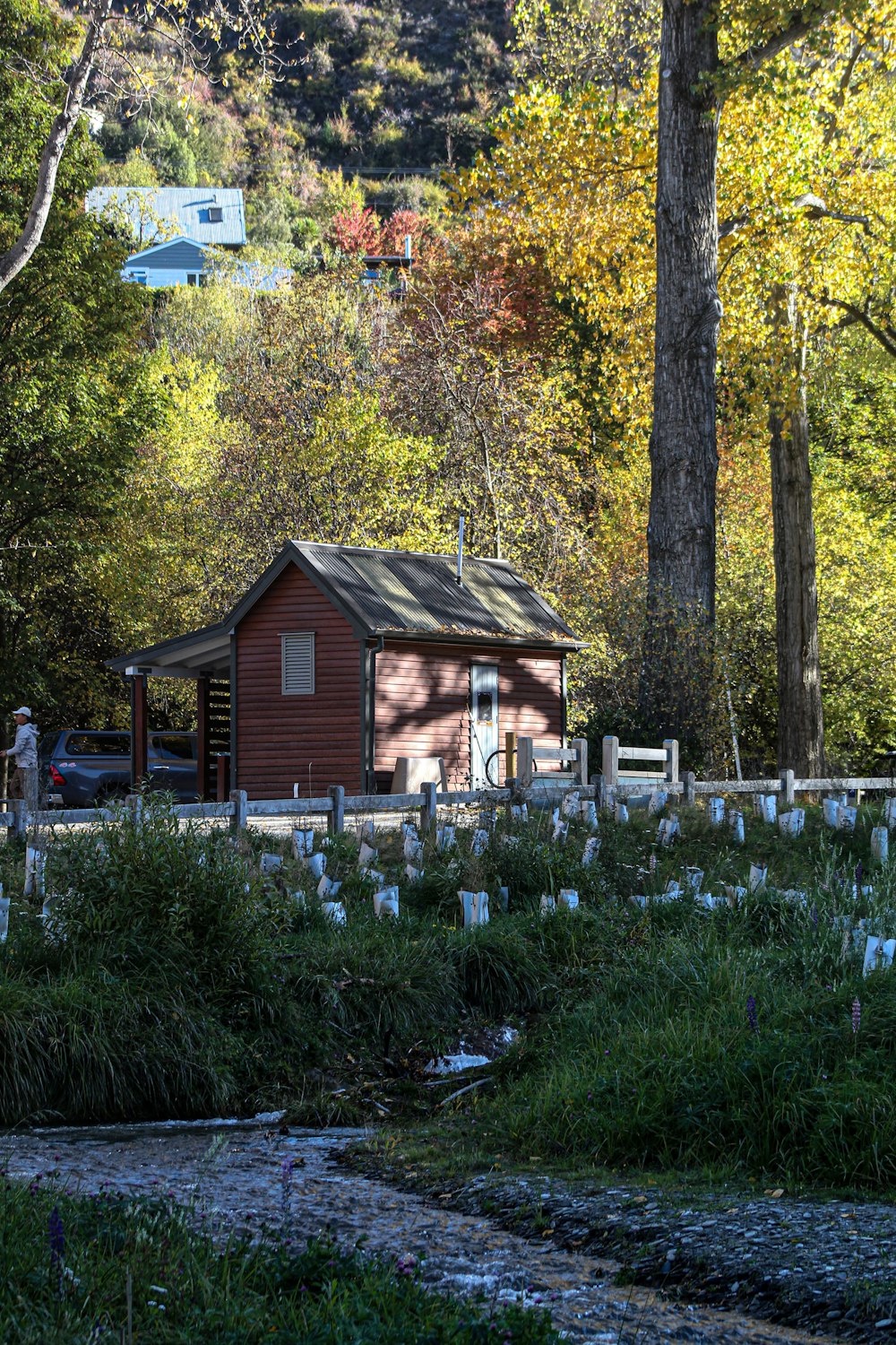 Une petite cabane au milieu d’une zone boisée