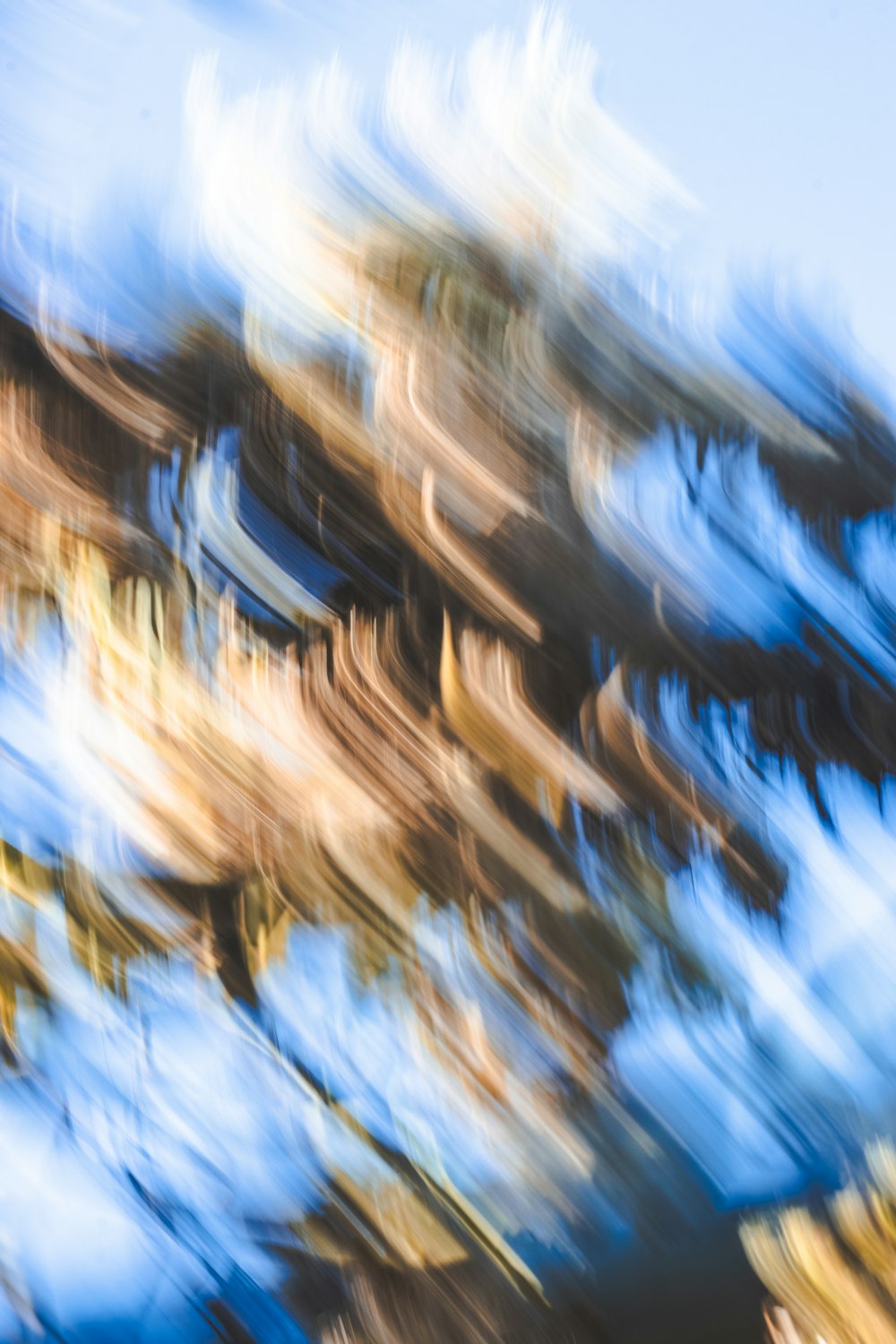  a blurry photo of a tree with blue sky in the background