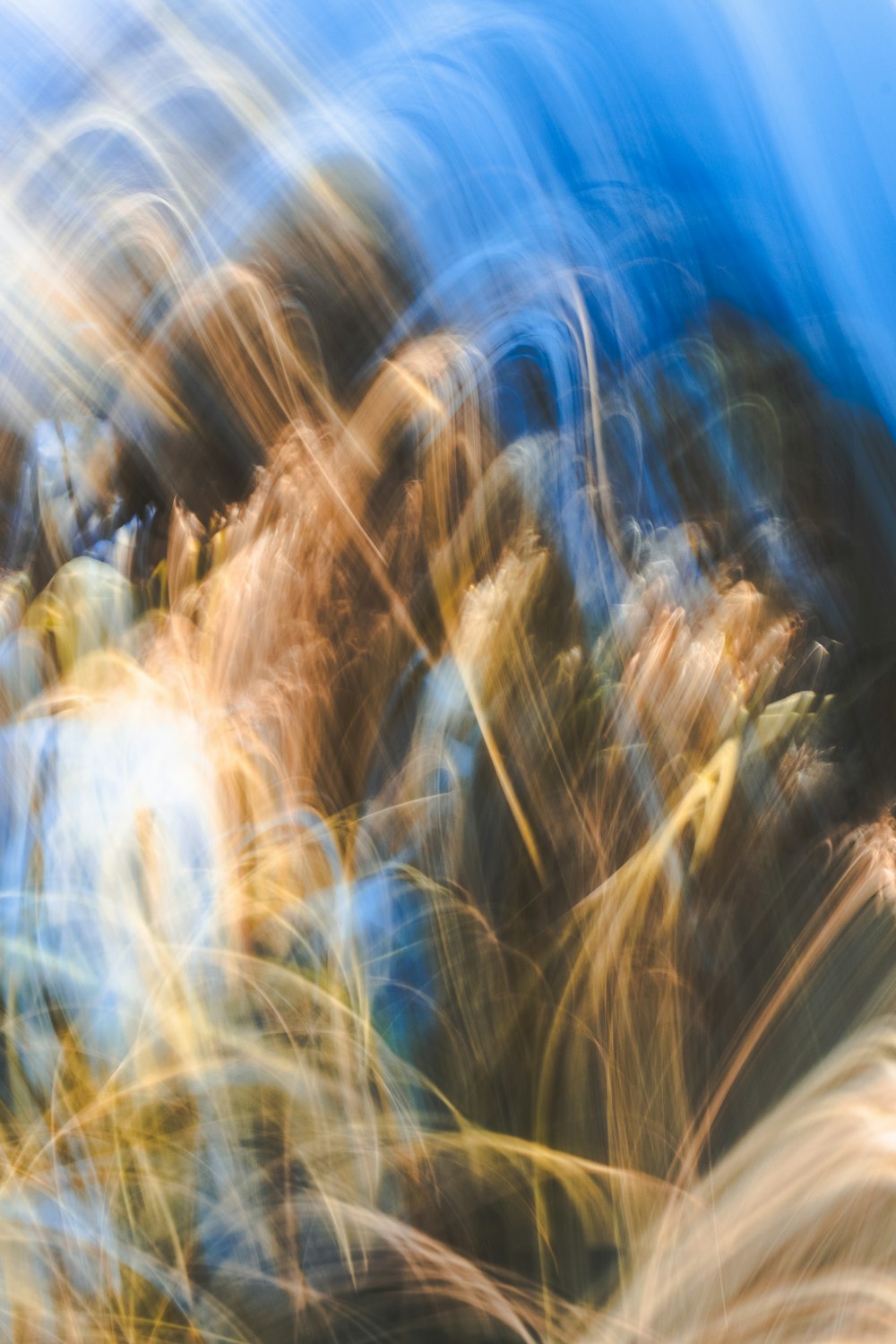 a blurry photo of a bunch of plants