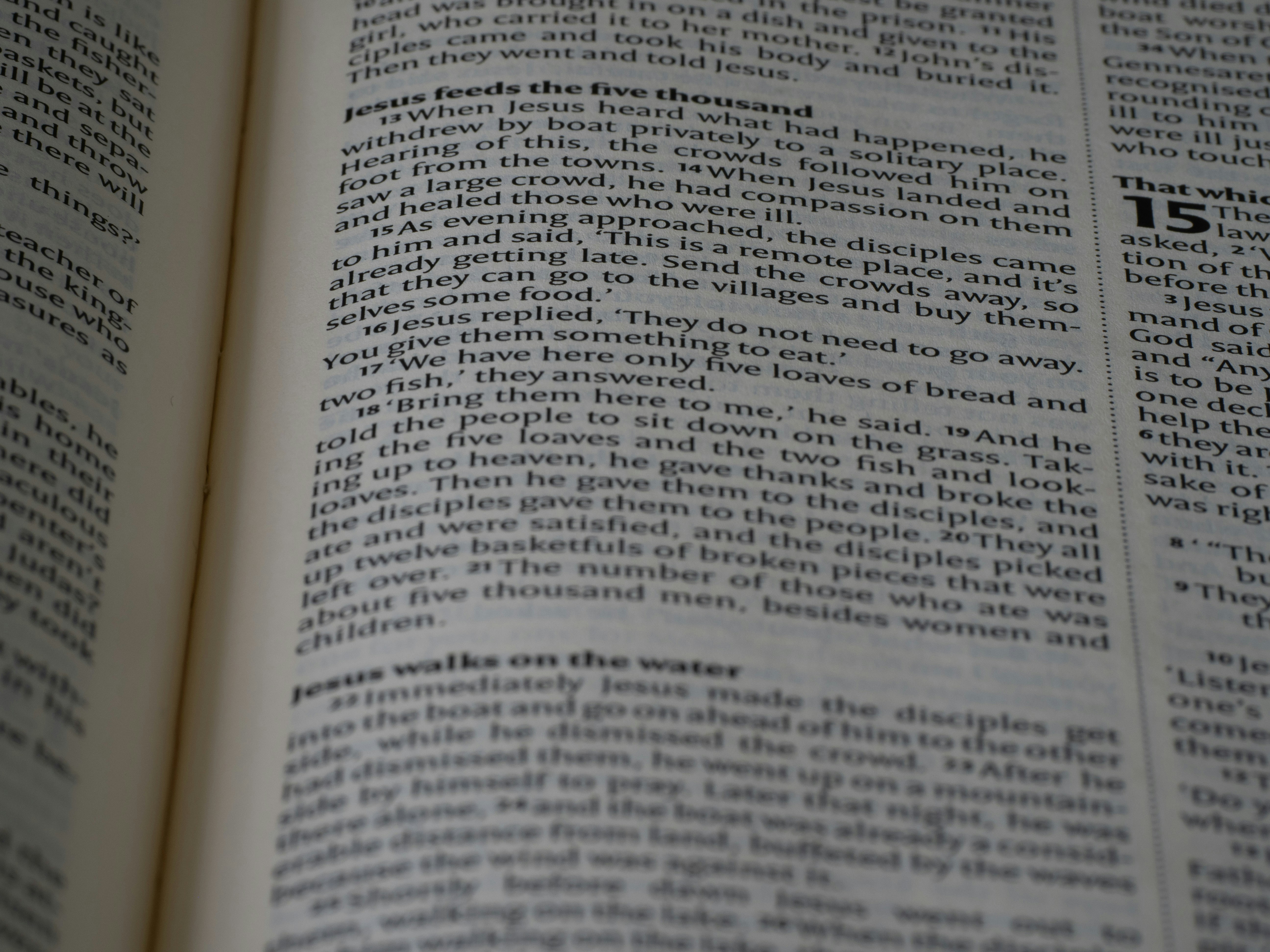 Photo by brett_jordan