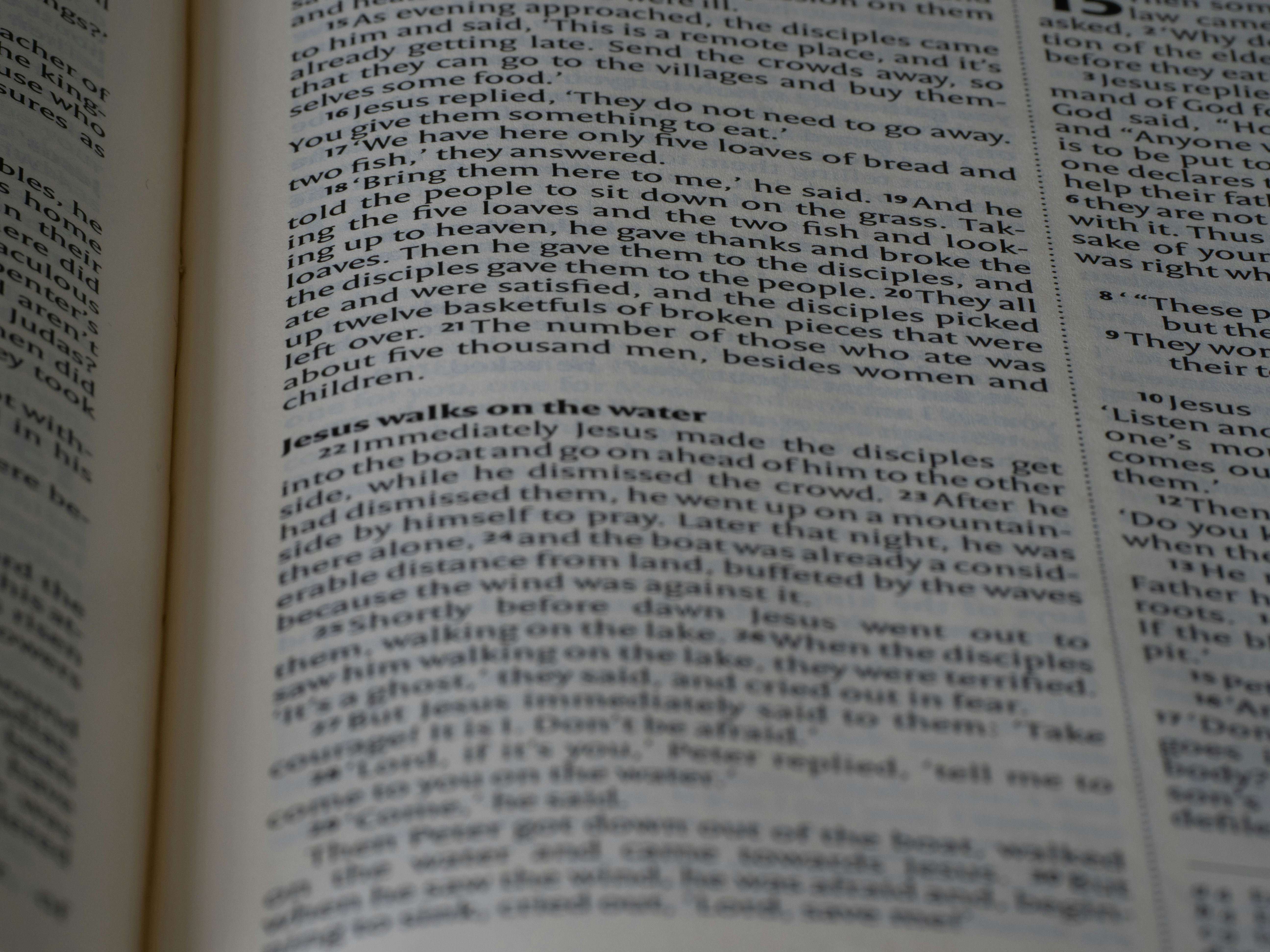 Photo by brett_jordan