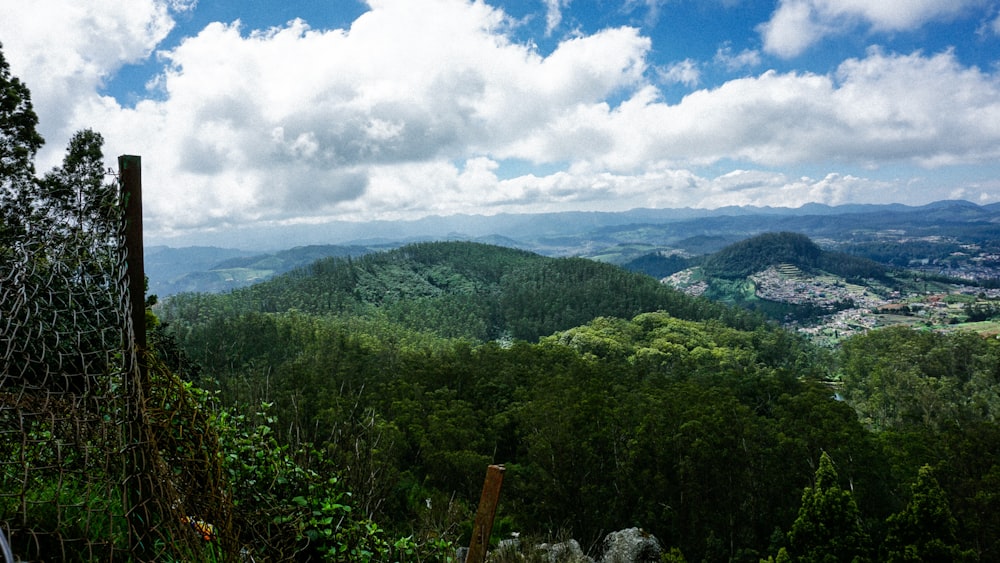 a view of a lush green forest and mountains