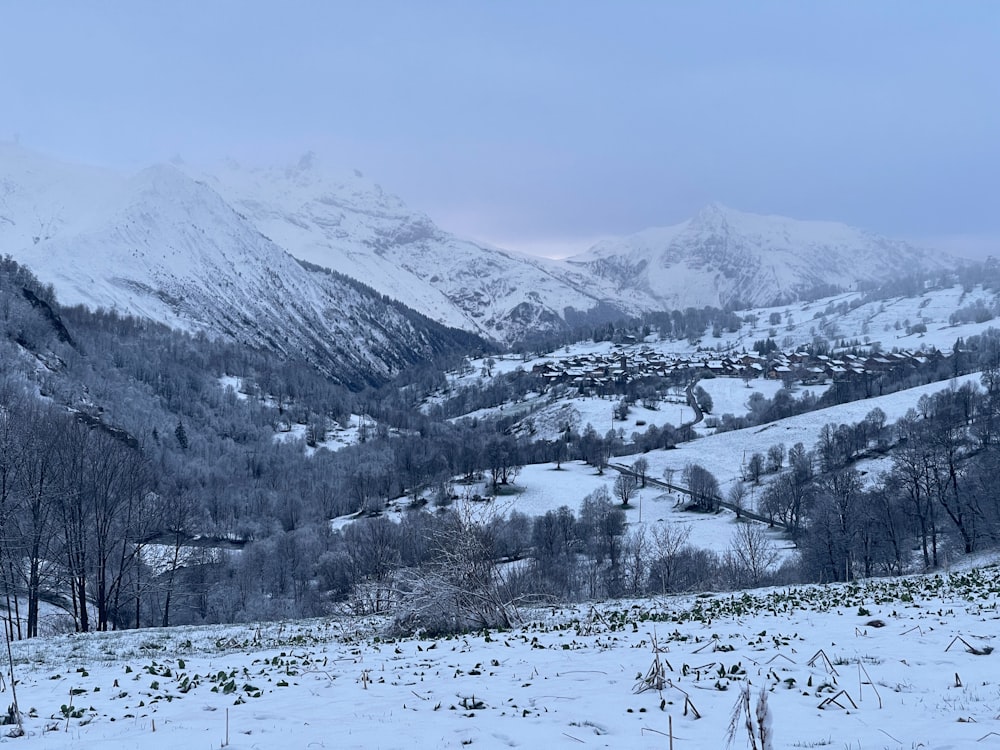 a snowy landscape with mountains in the background