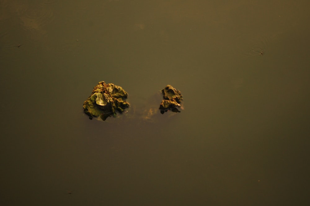 a couple of rocks sitting on top of a body of water