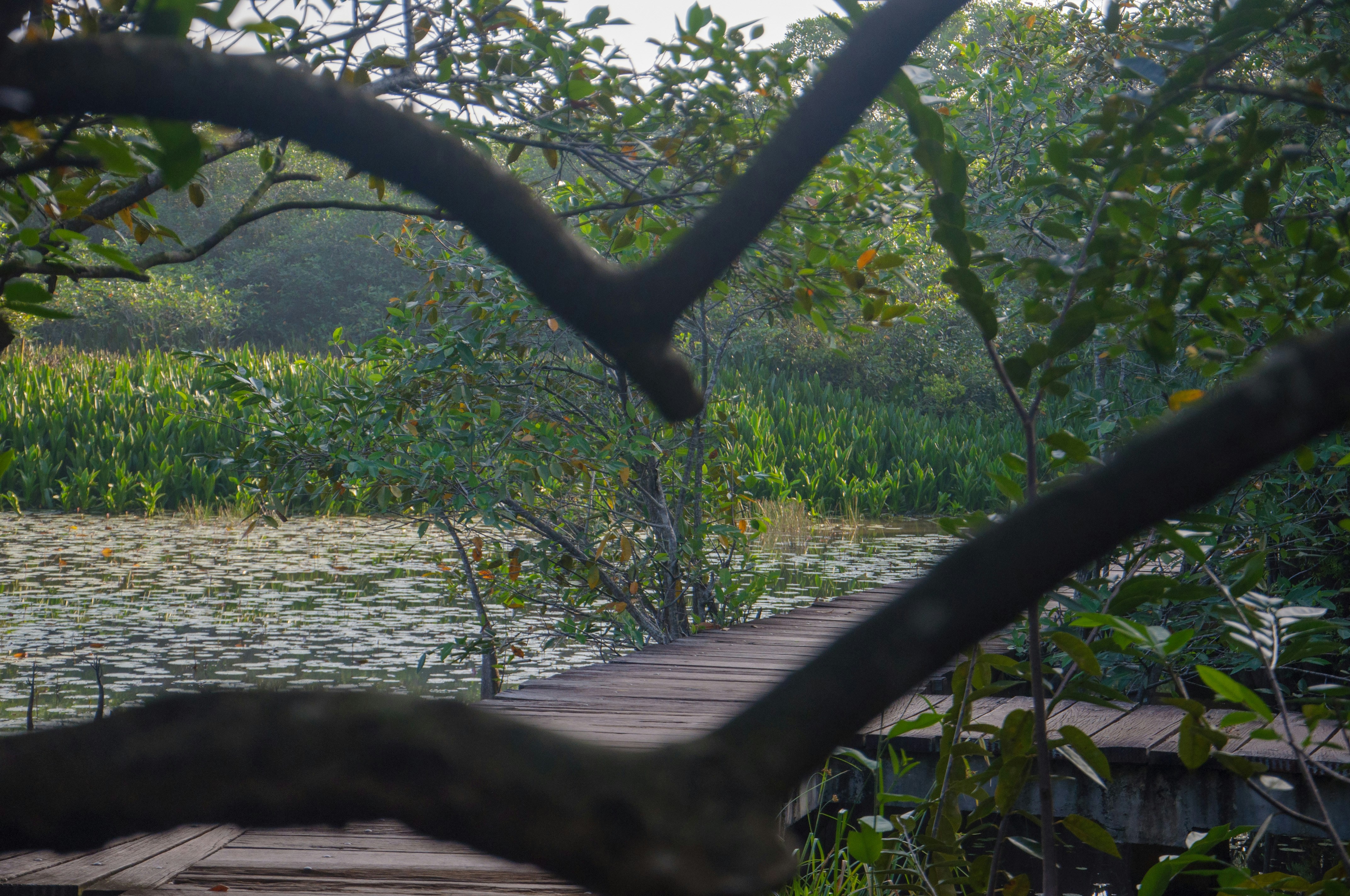 Photo by yanukadeneth99