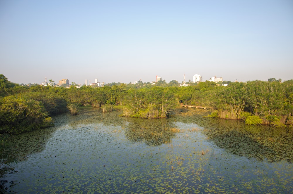 a body of water surrounded by trees and buildings