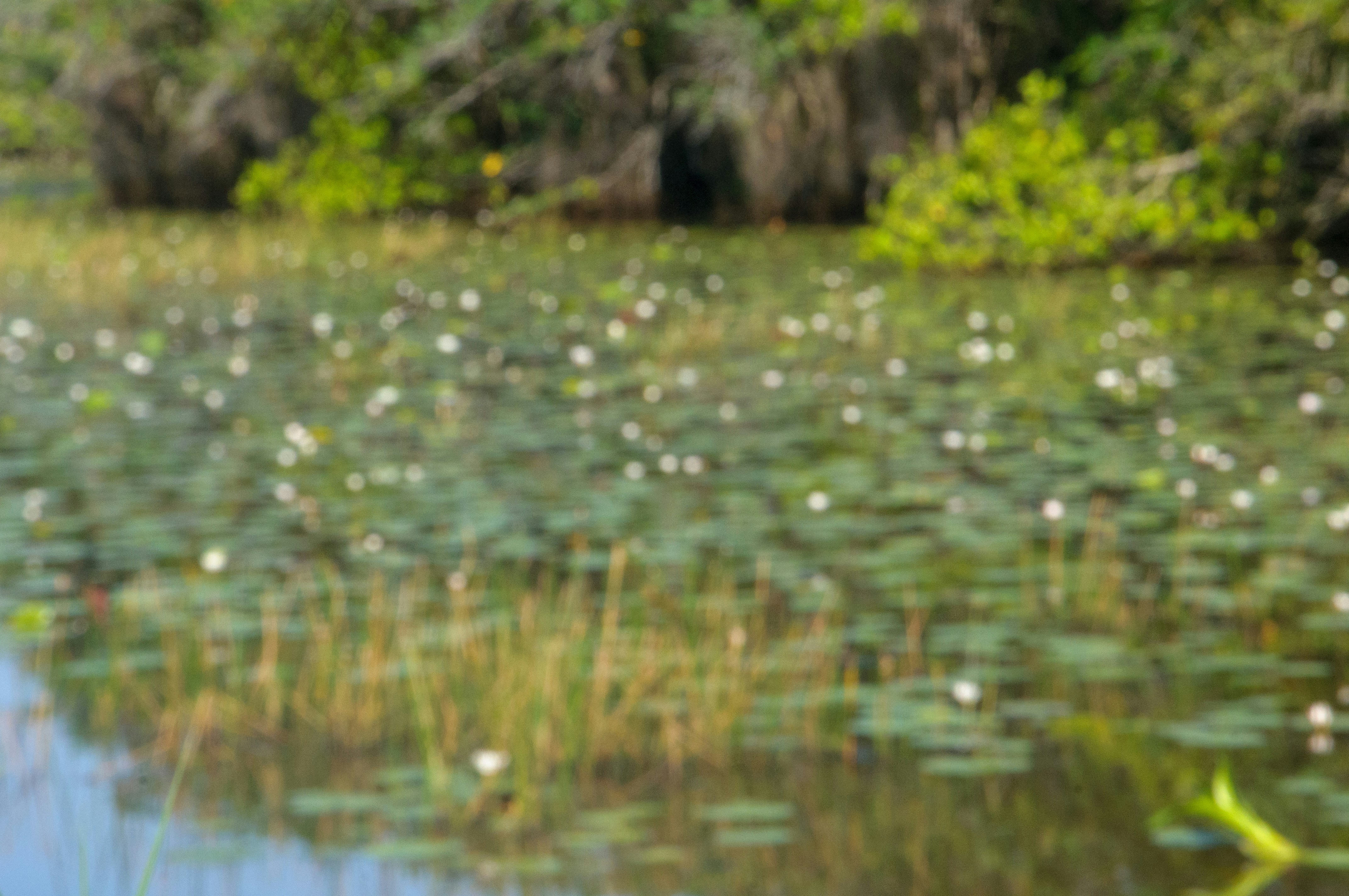 Photo by yanukadeneth99