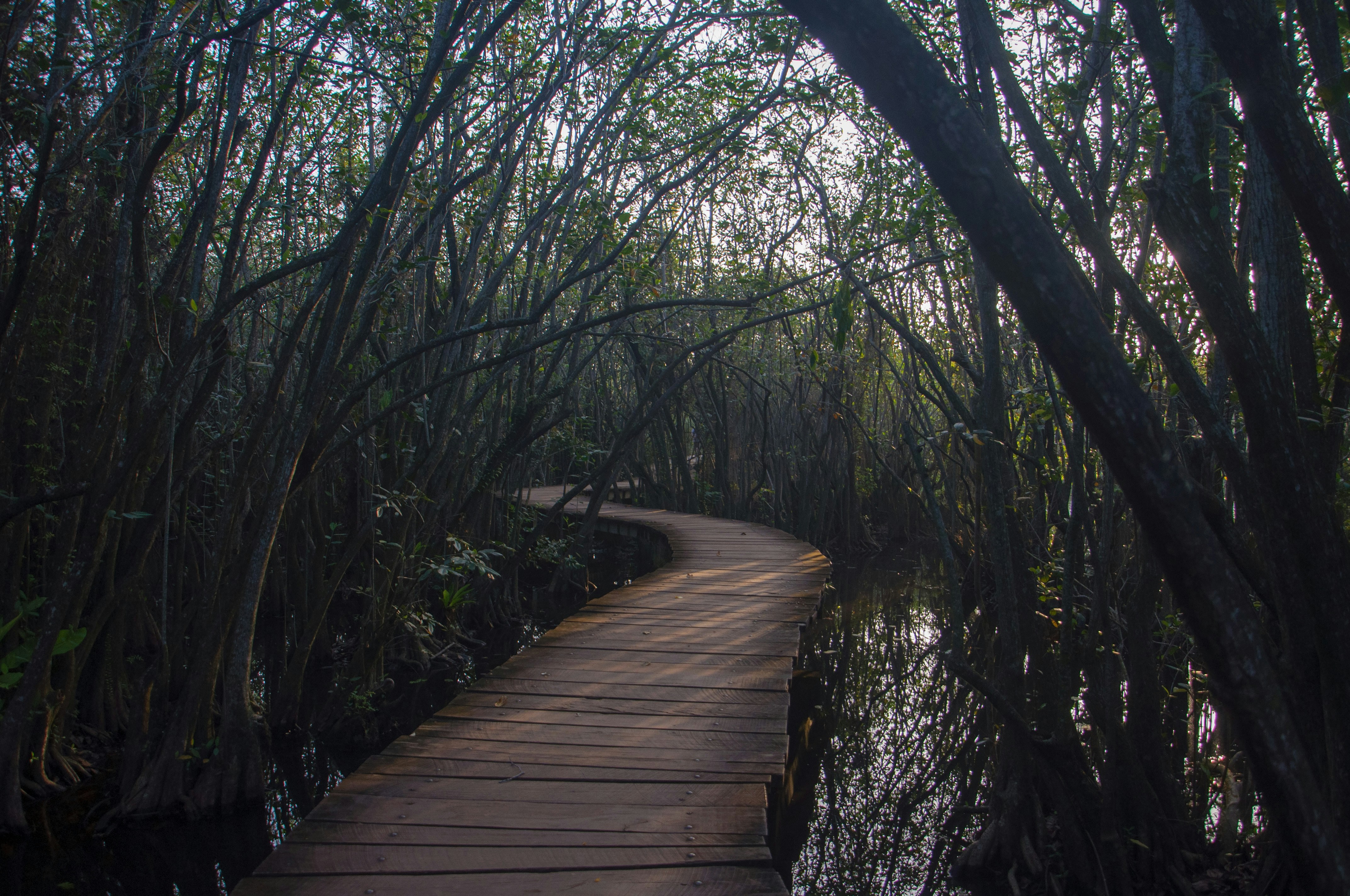 Photo by yanukadeneth99