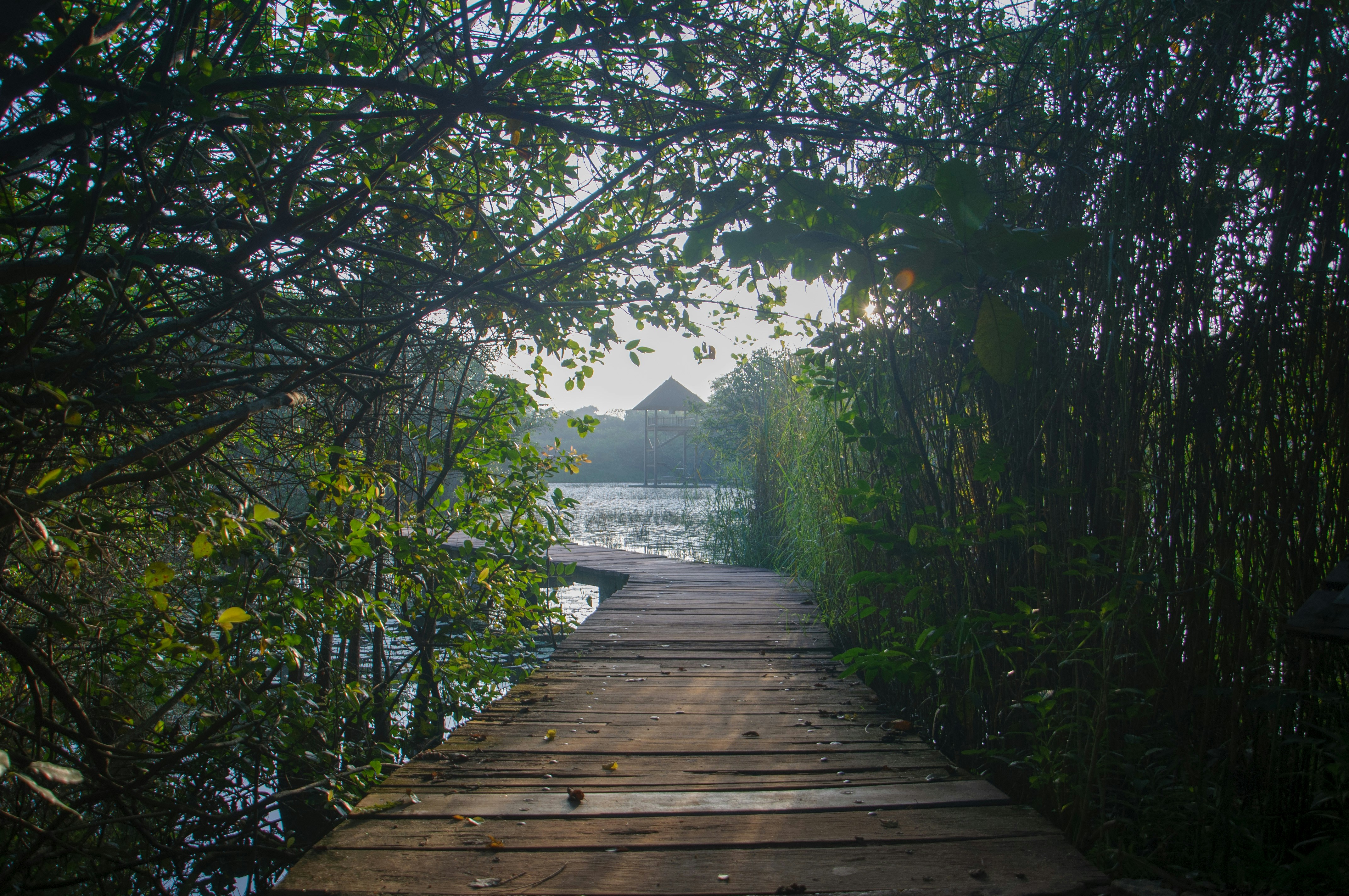 Photo by yanukadeneth99