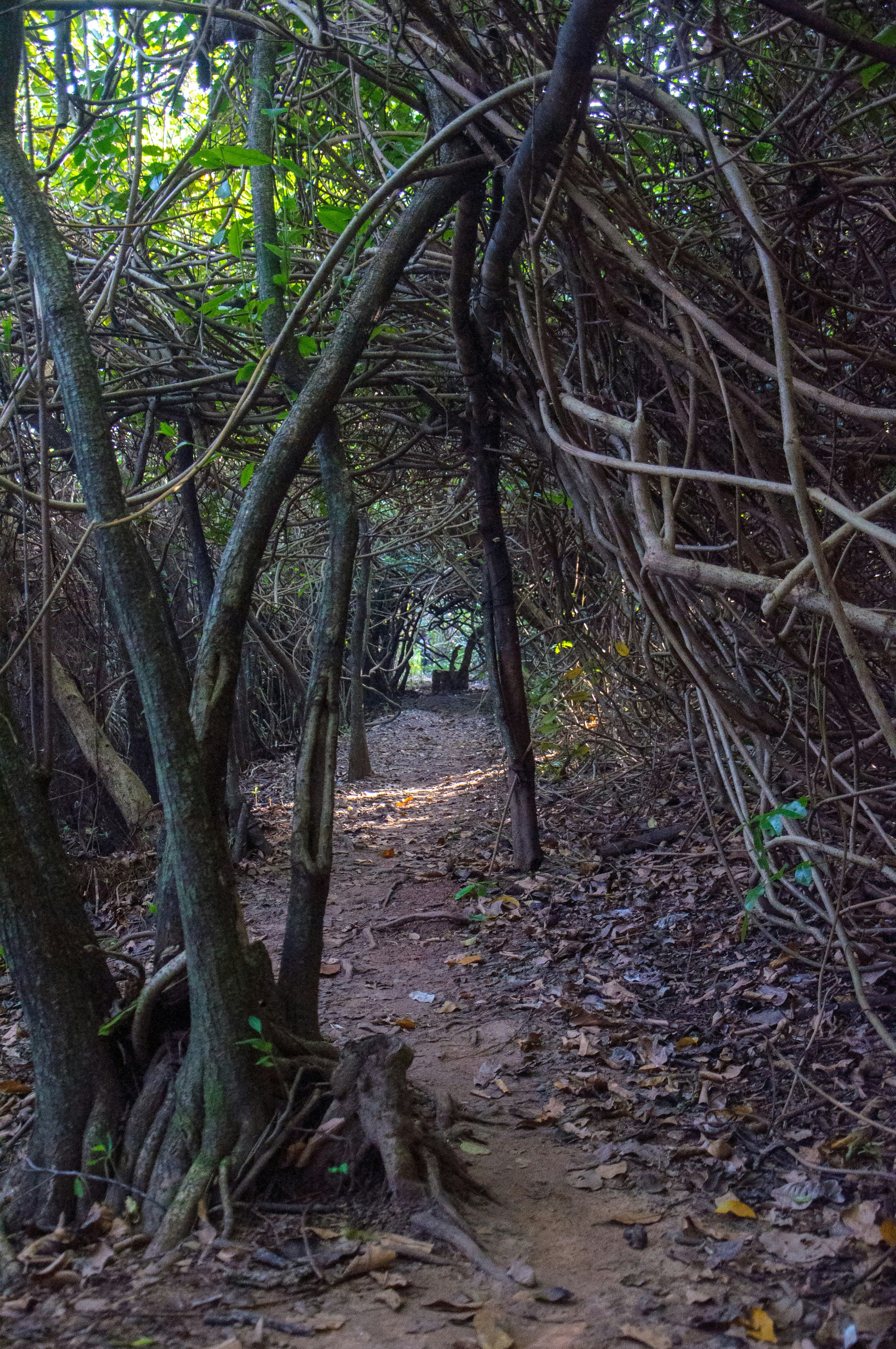 Photo by yanukadeneth99