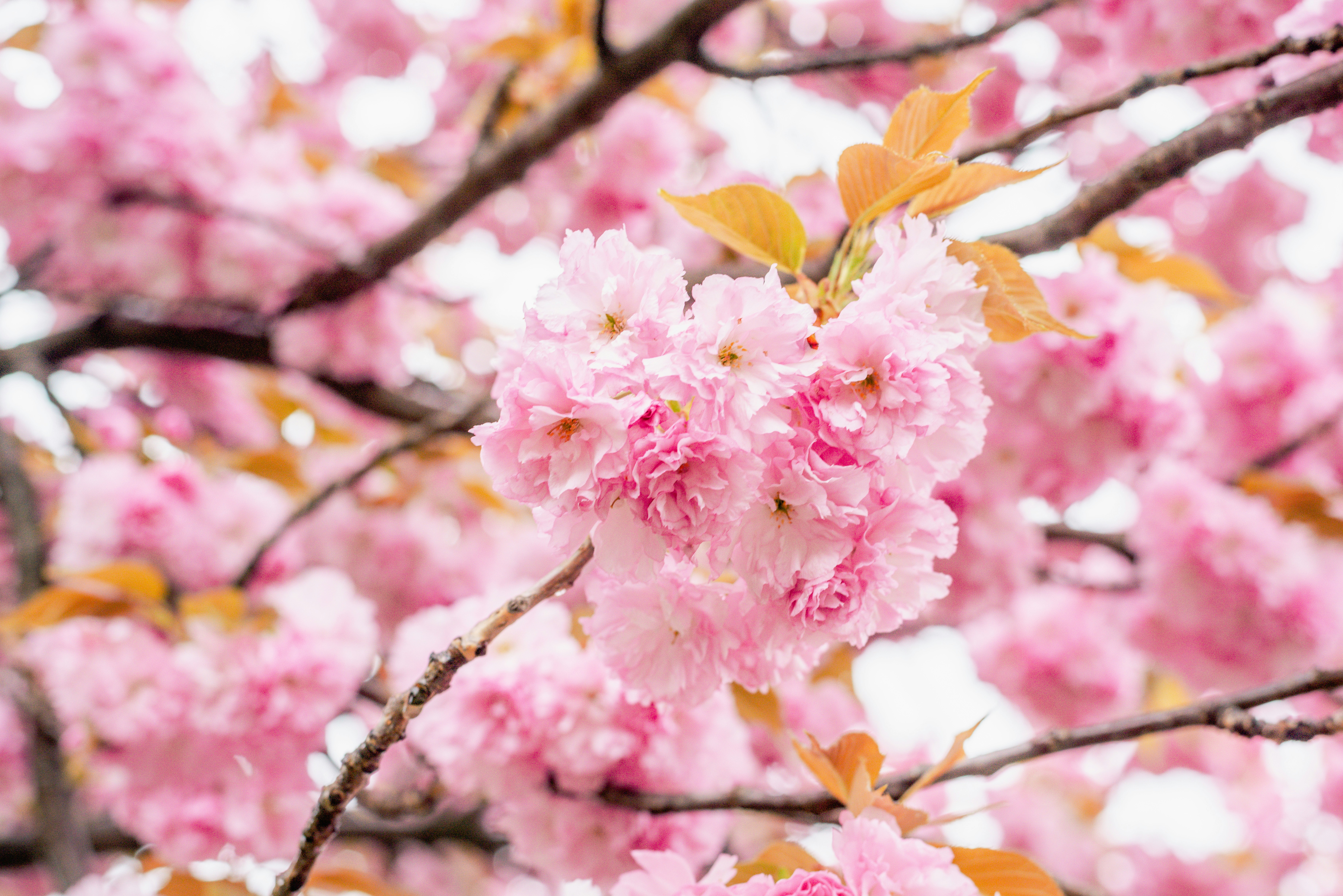 Photo by eugenivy_now