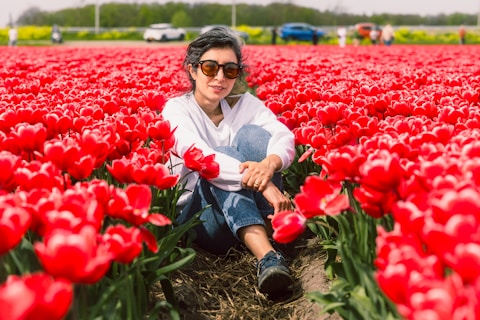 Best Tips for Visiting a Tulip Festival