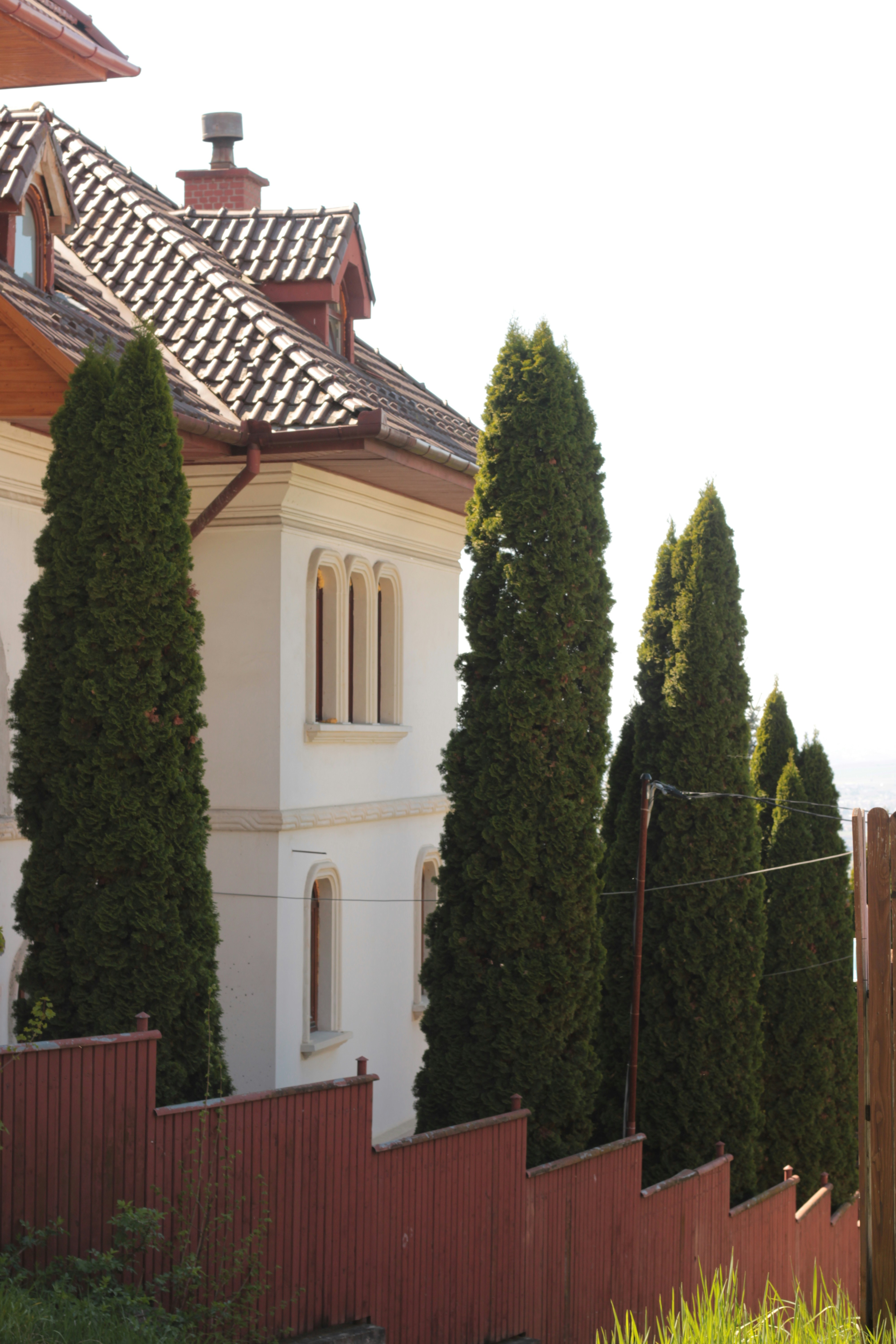 Photo by thorai9akira