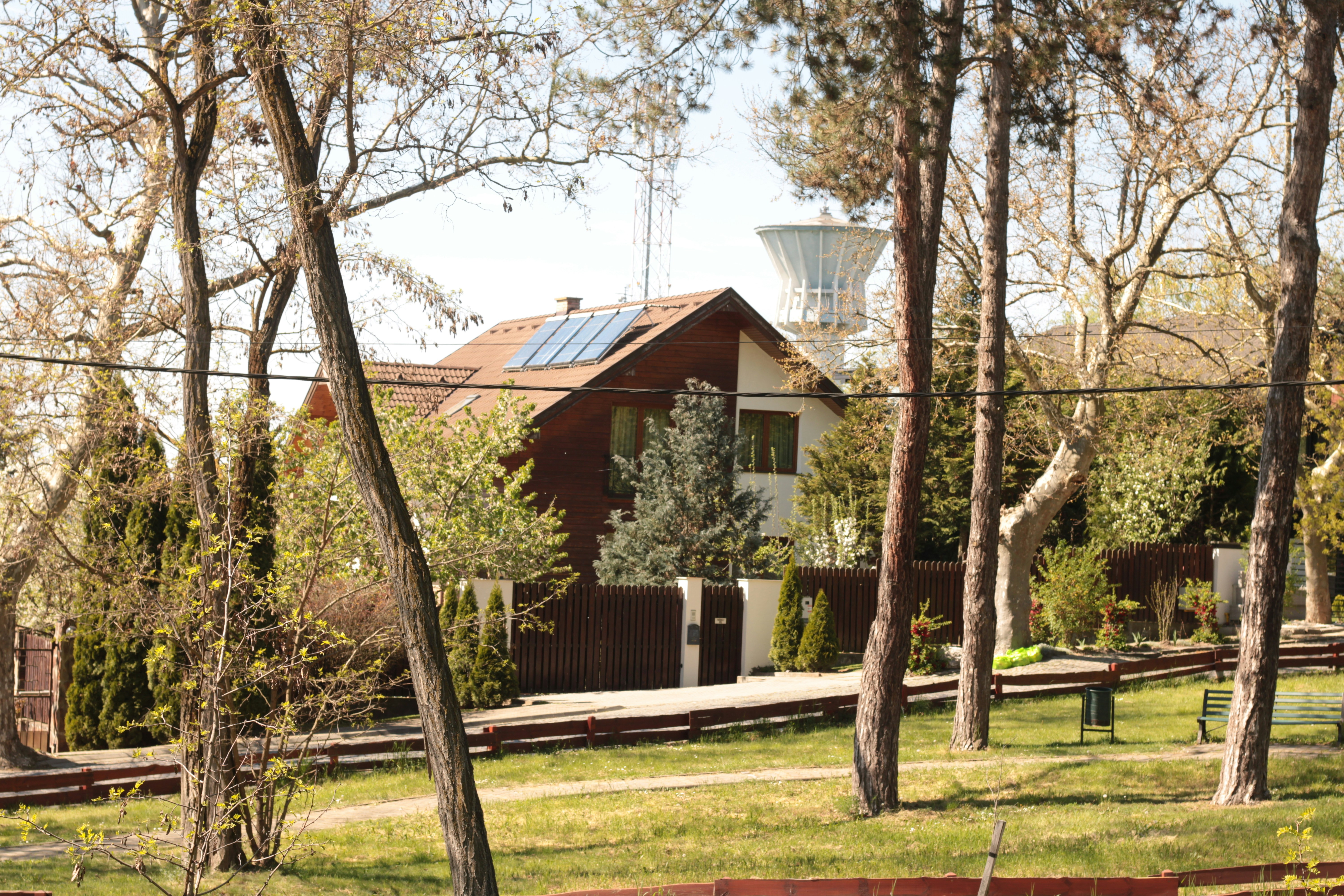 Photo by thorai9akira