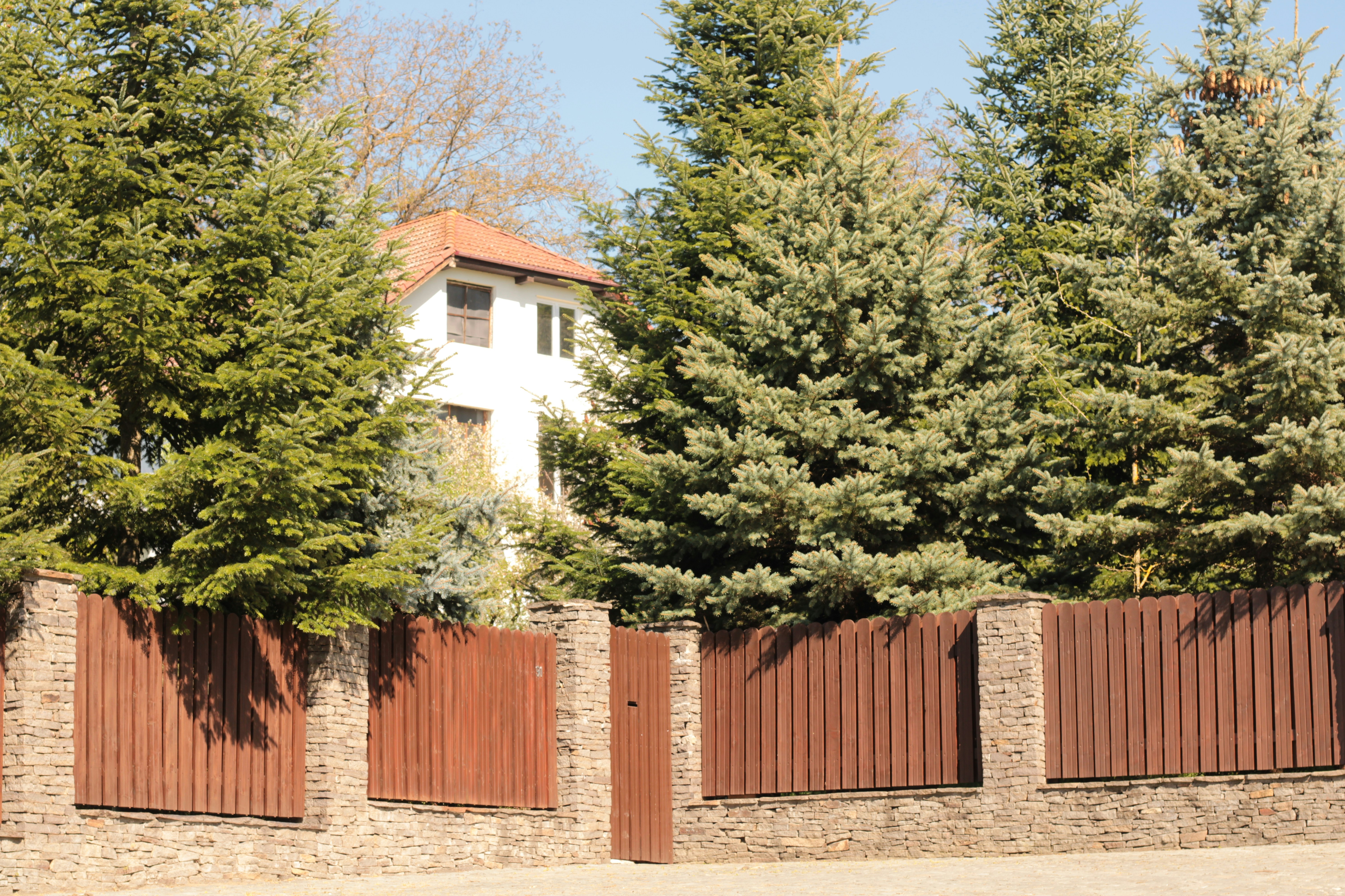 Photo by thorai9akira