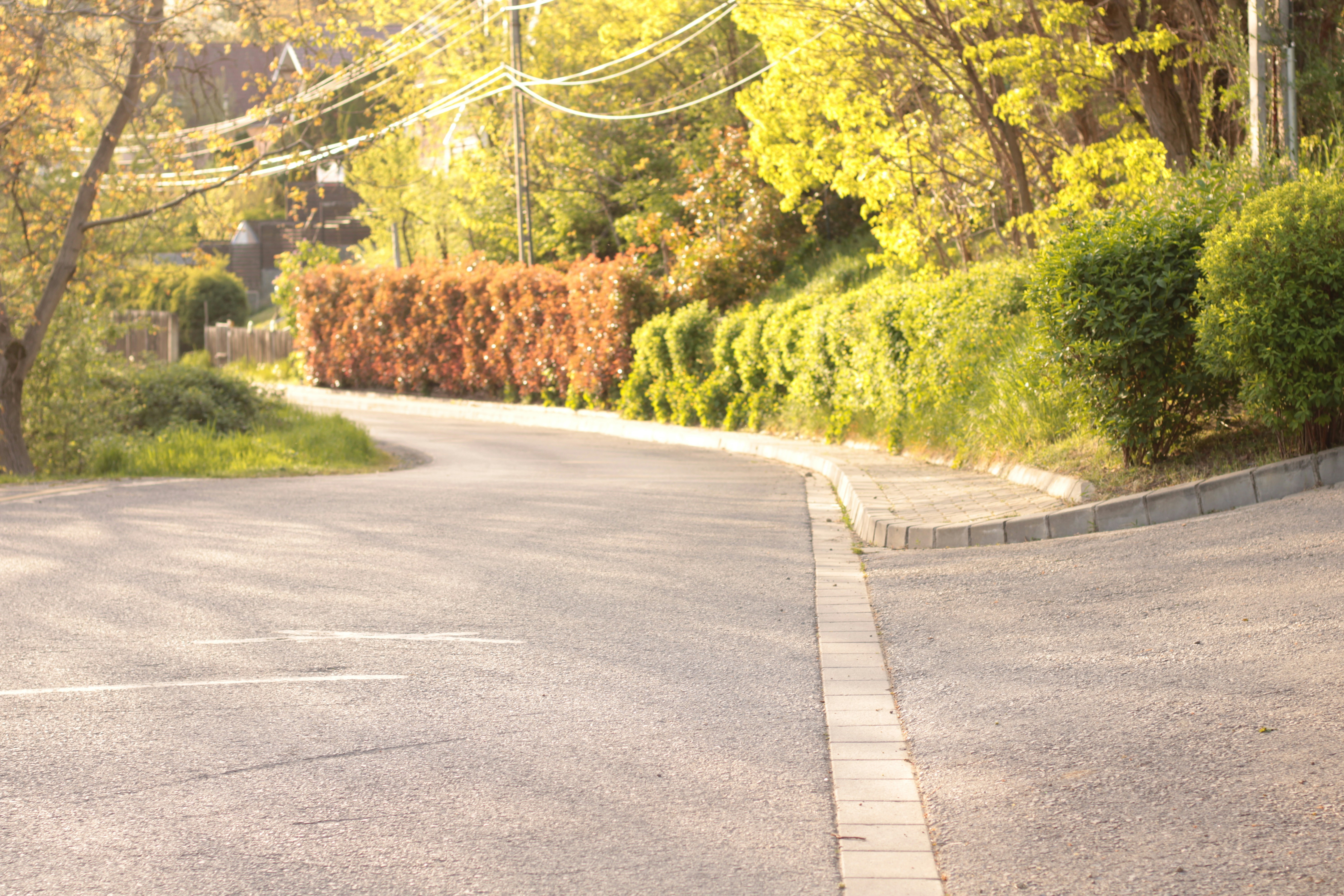 Photo by thorai9akira