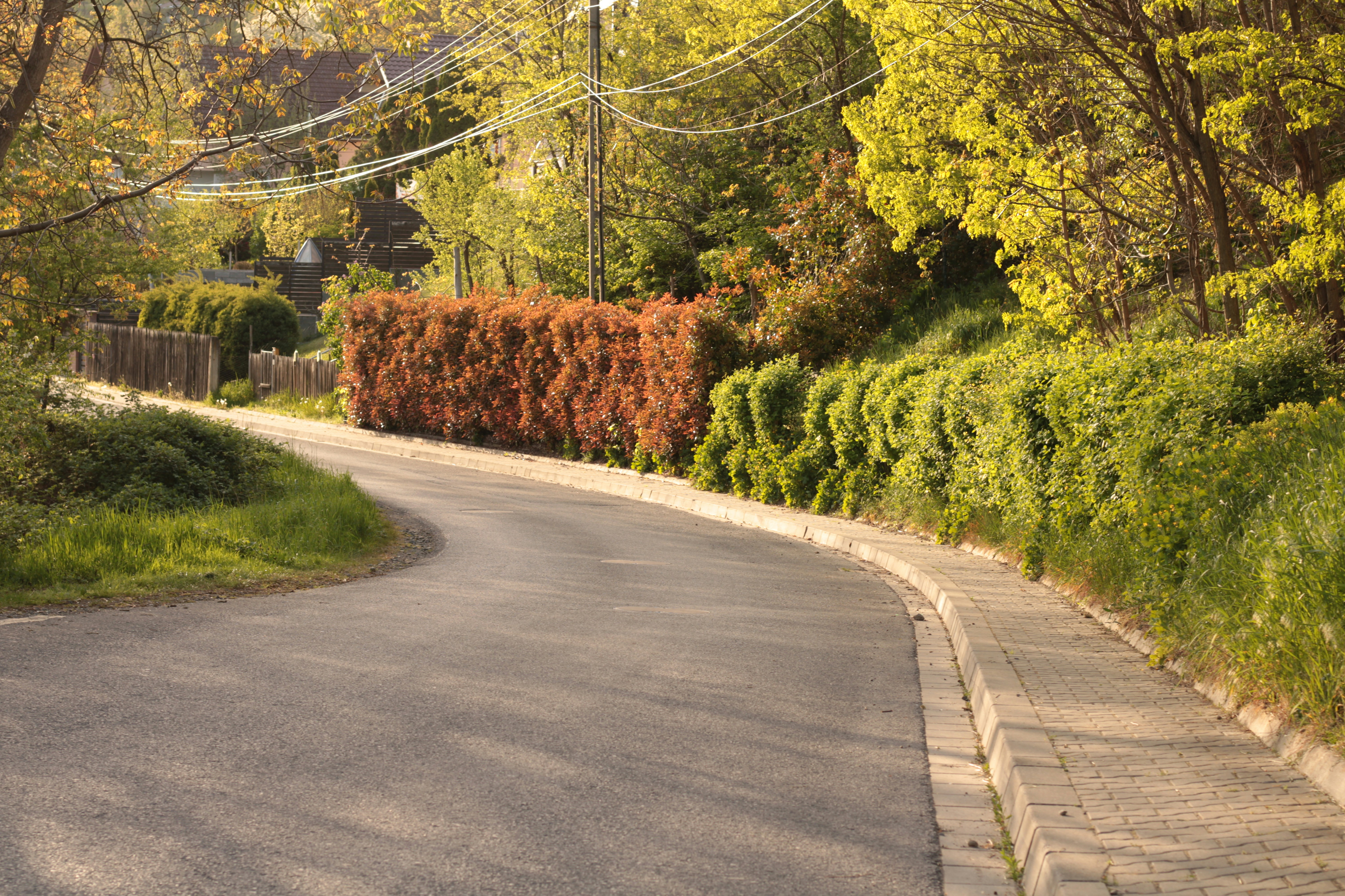 Photo by thorai9akira