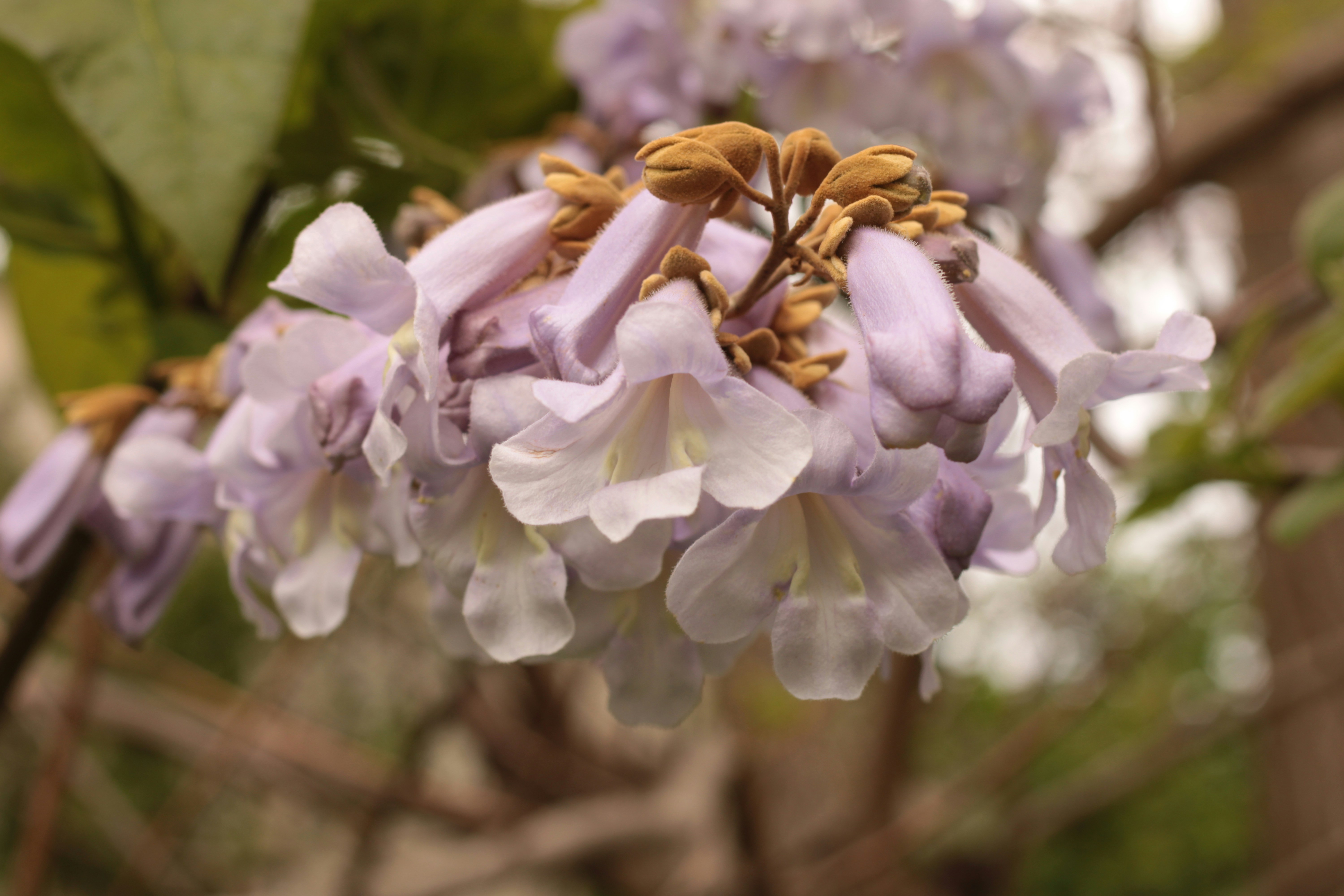 Photo by thorai9akira