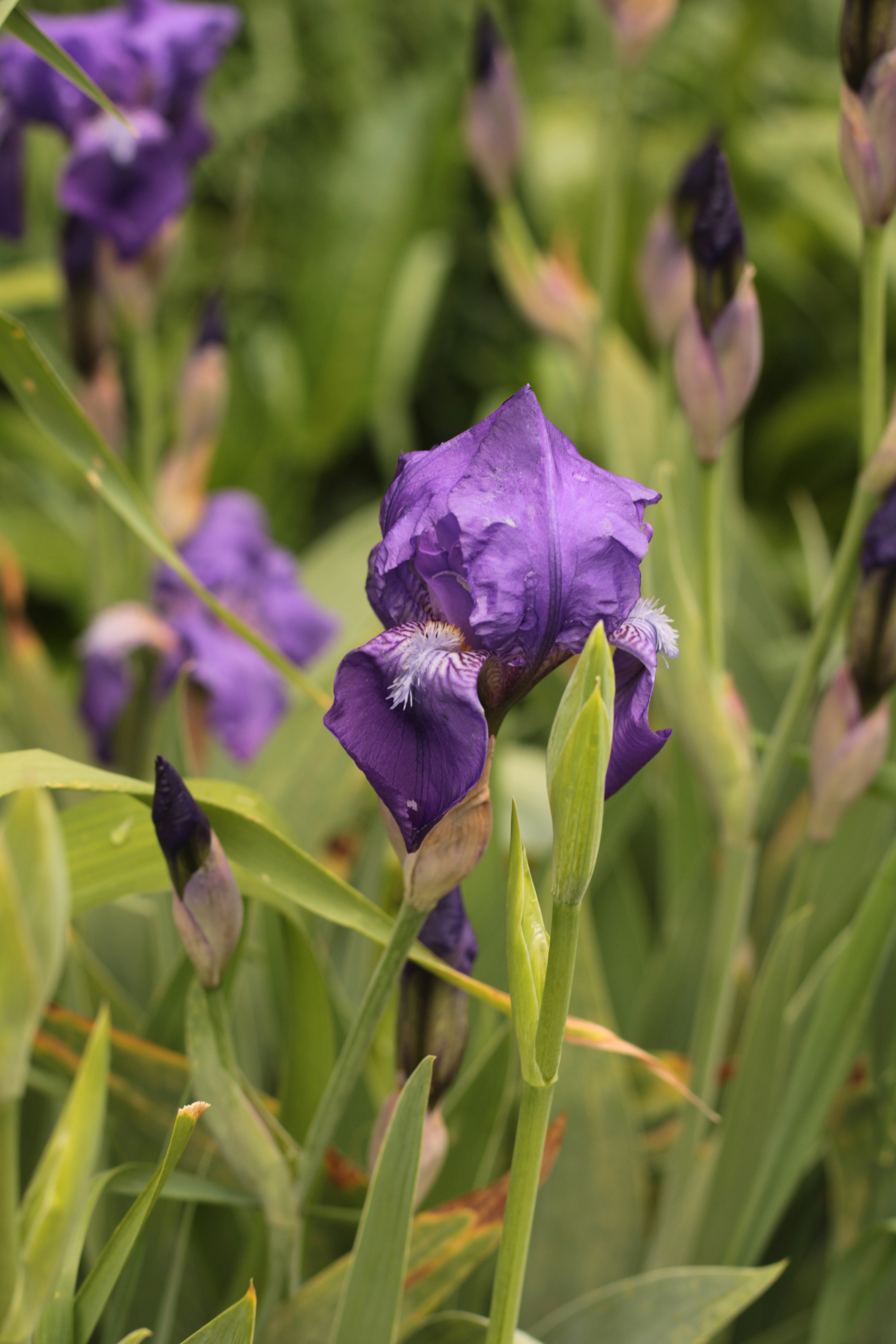 Photo by thorai9akira