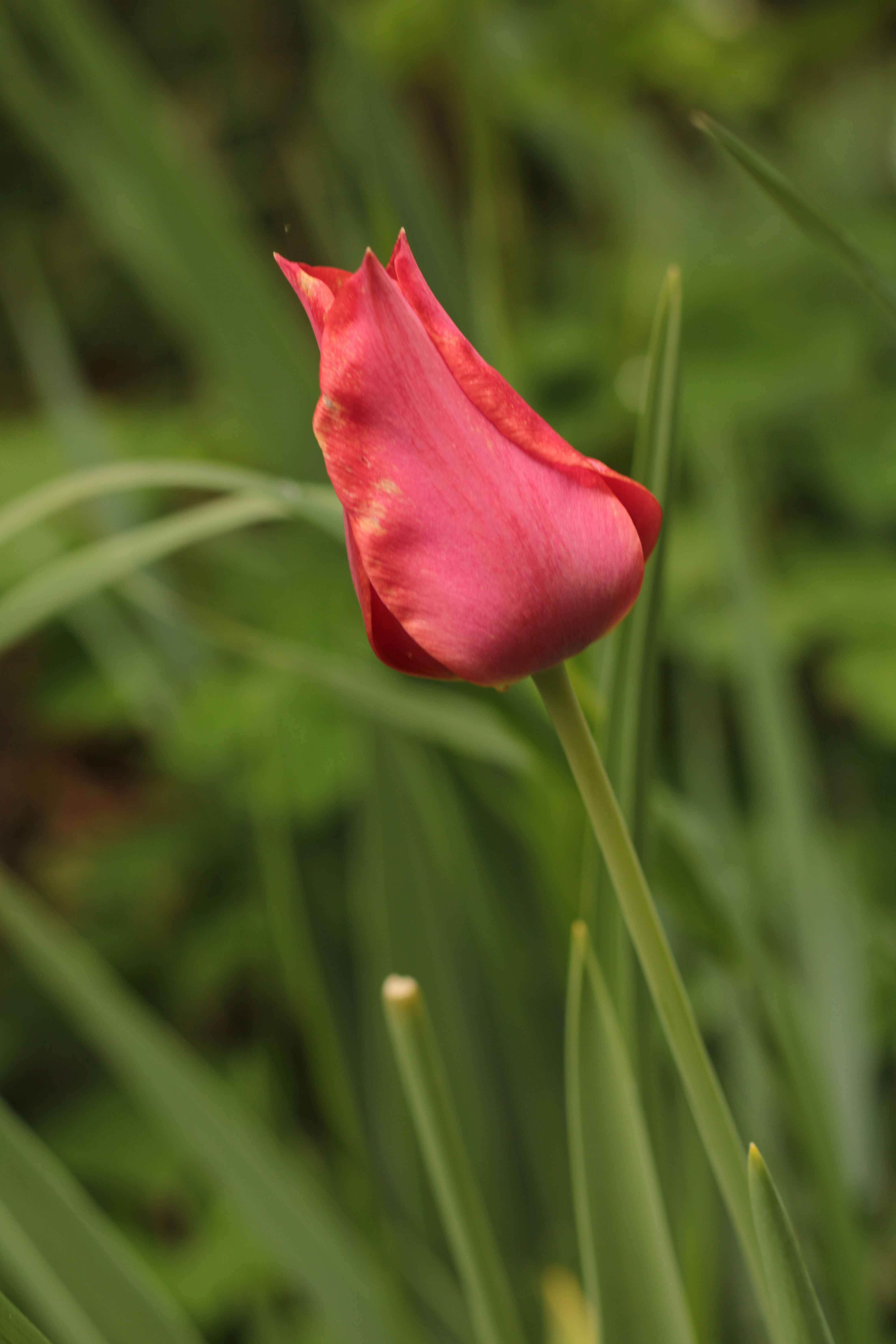 Photo by thorai9akira