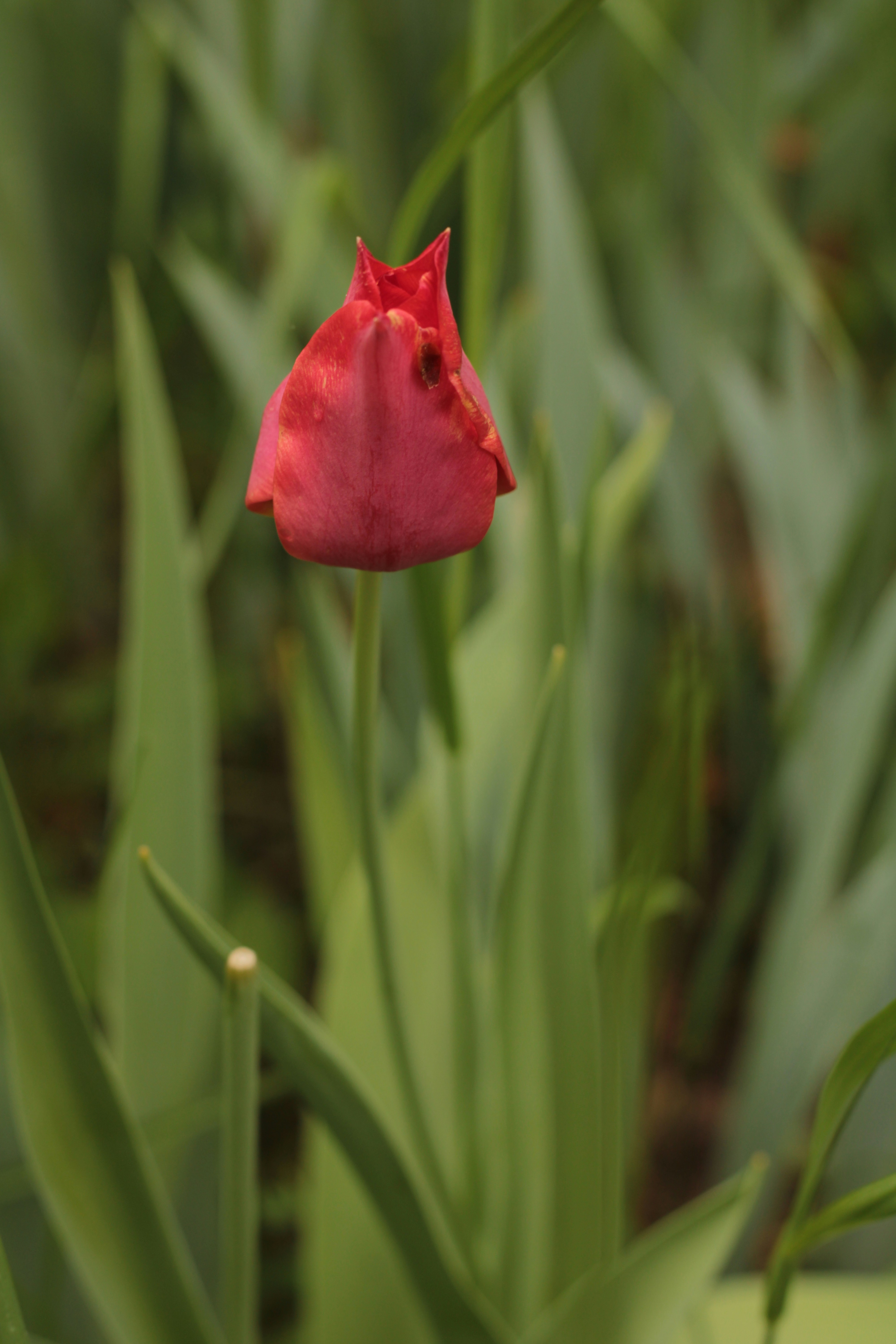 Photo by thorai9akira