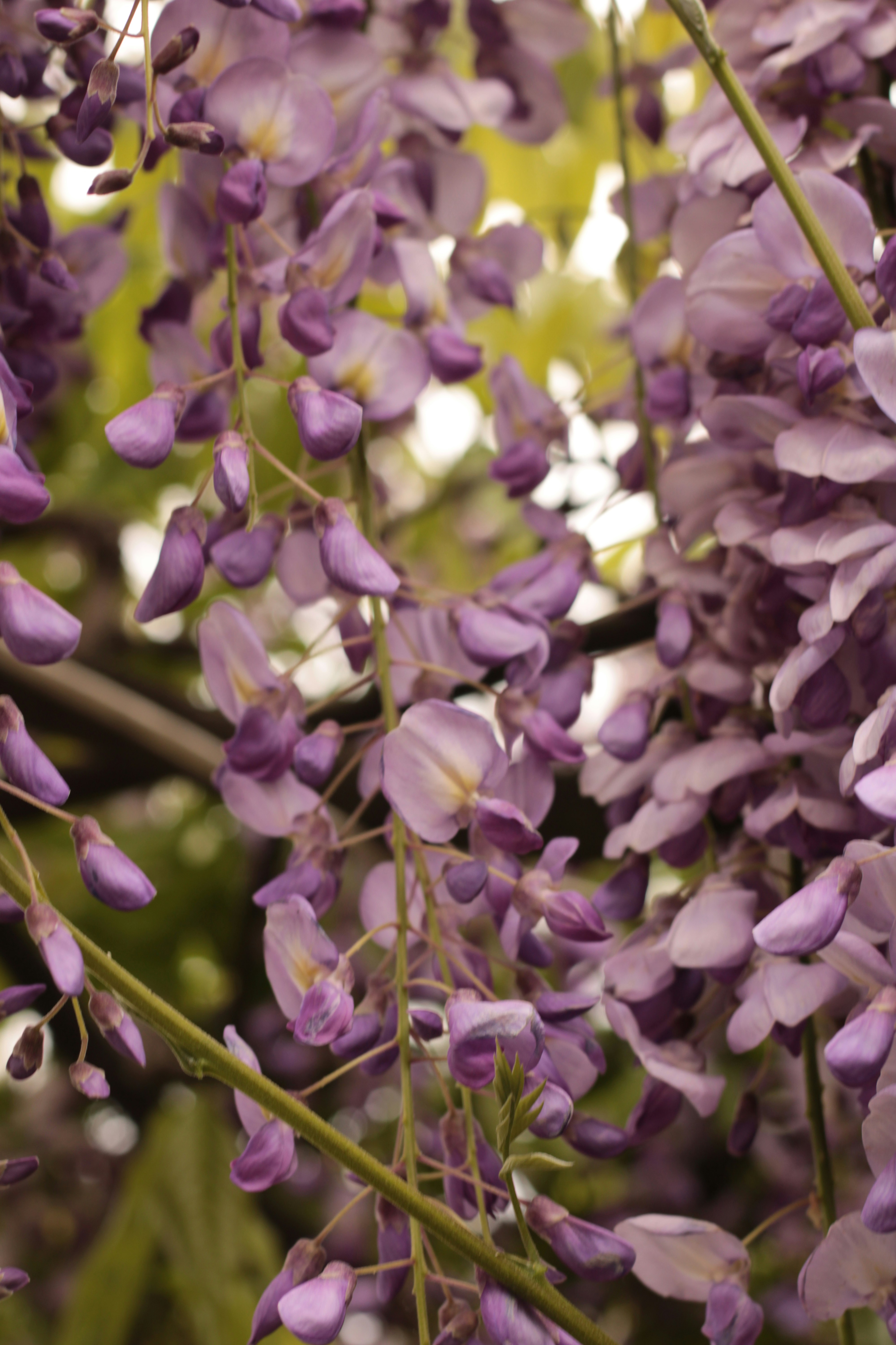 Photo by thorai9akira