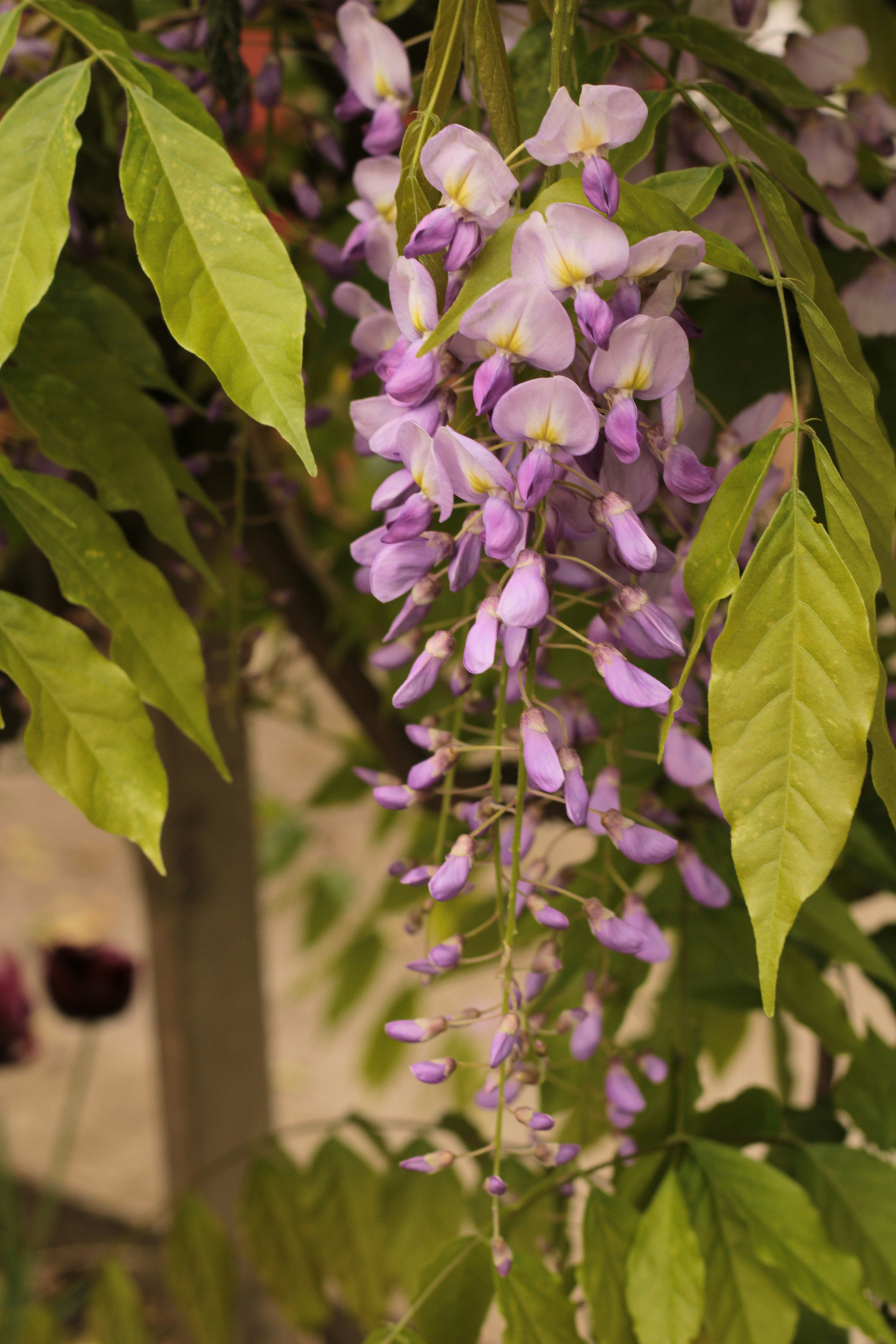 Photo by thorai9akira