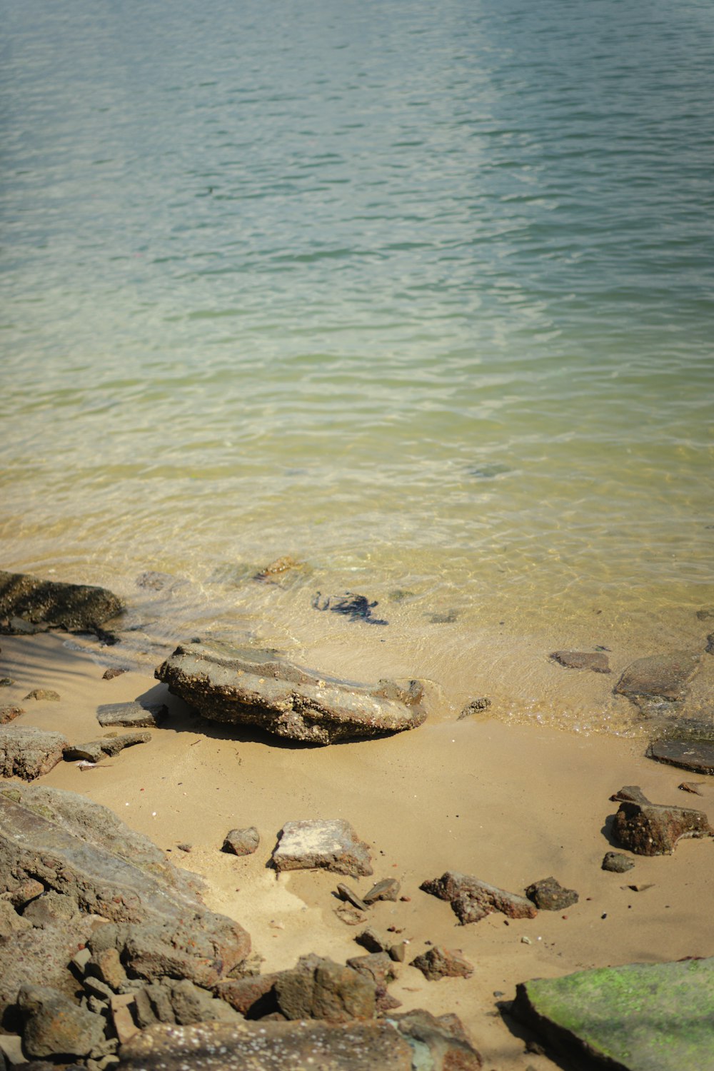 a body of water sitting next to a sandy beach