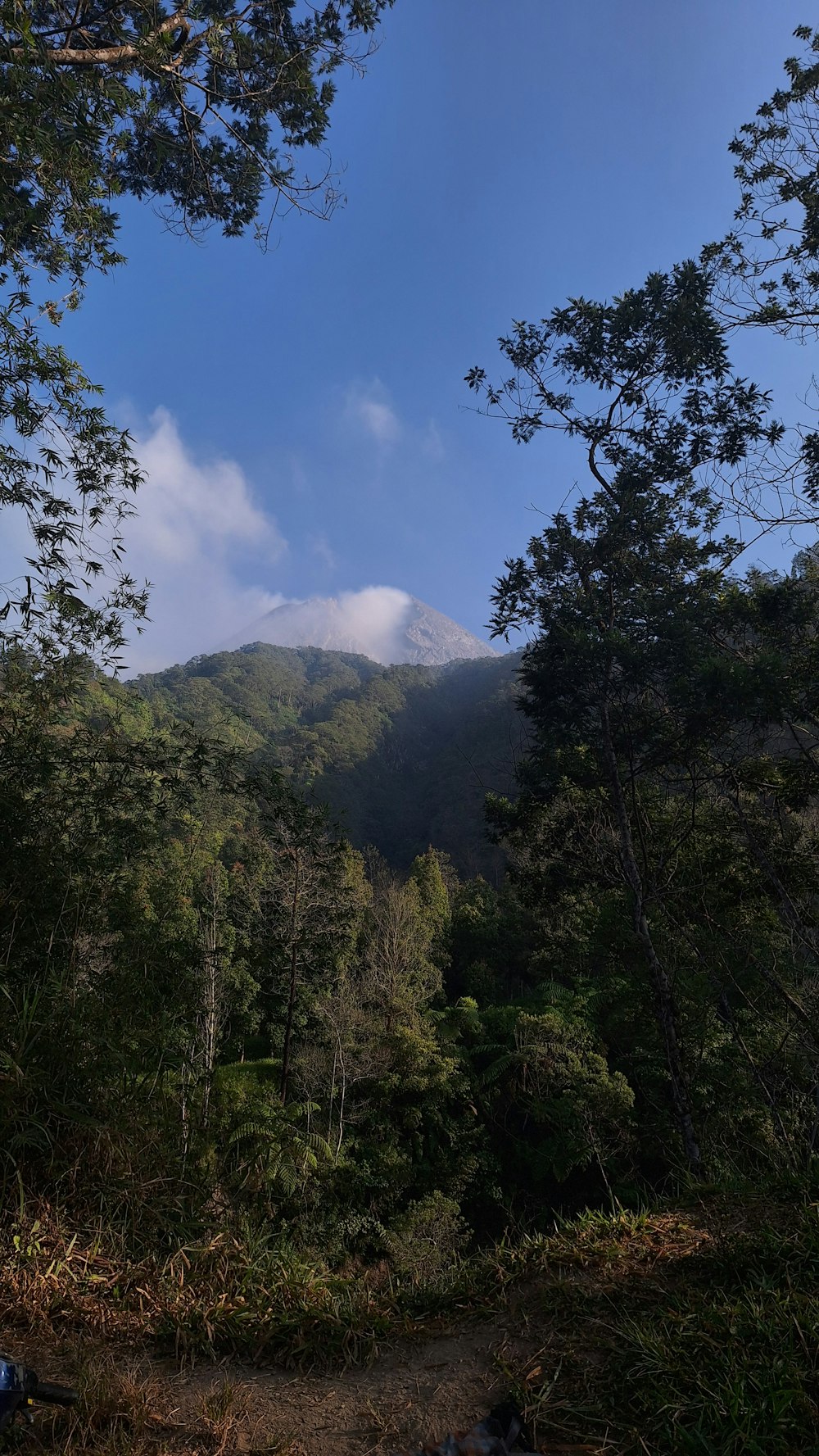 a view of the mountains from a trail