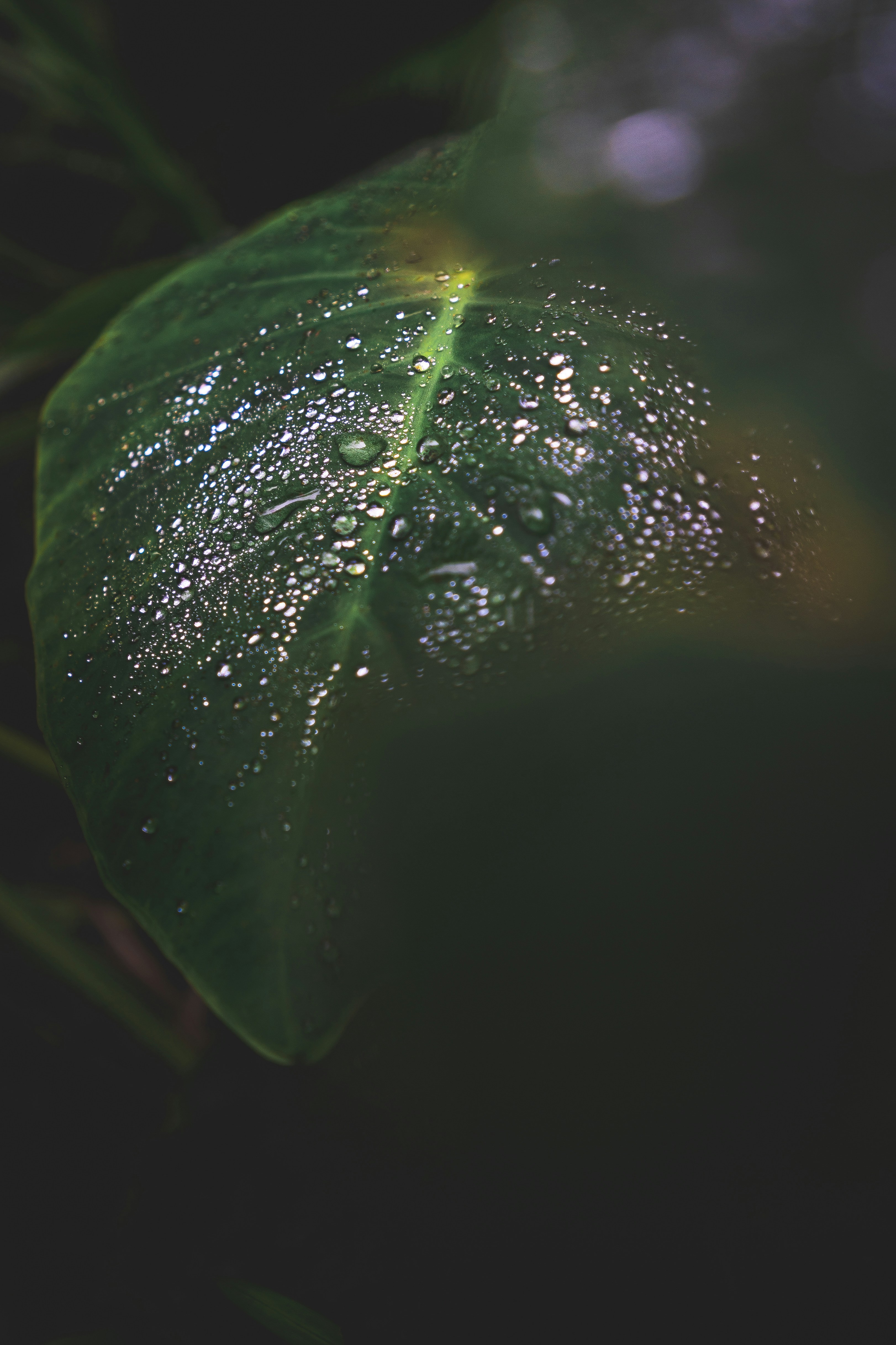 Photo by beckerworks