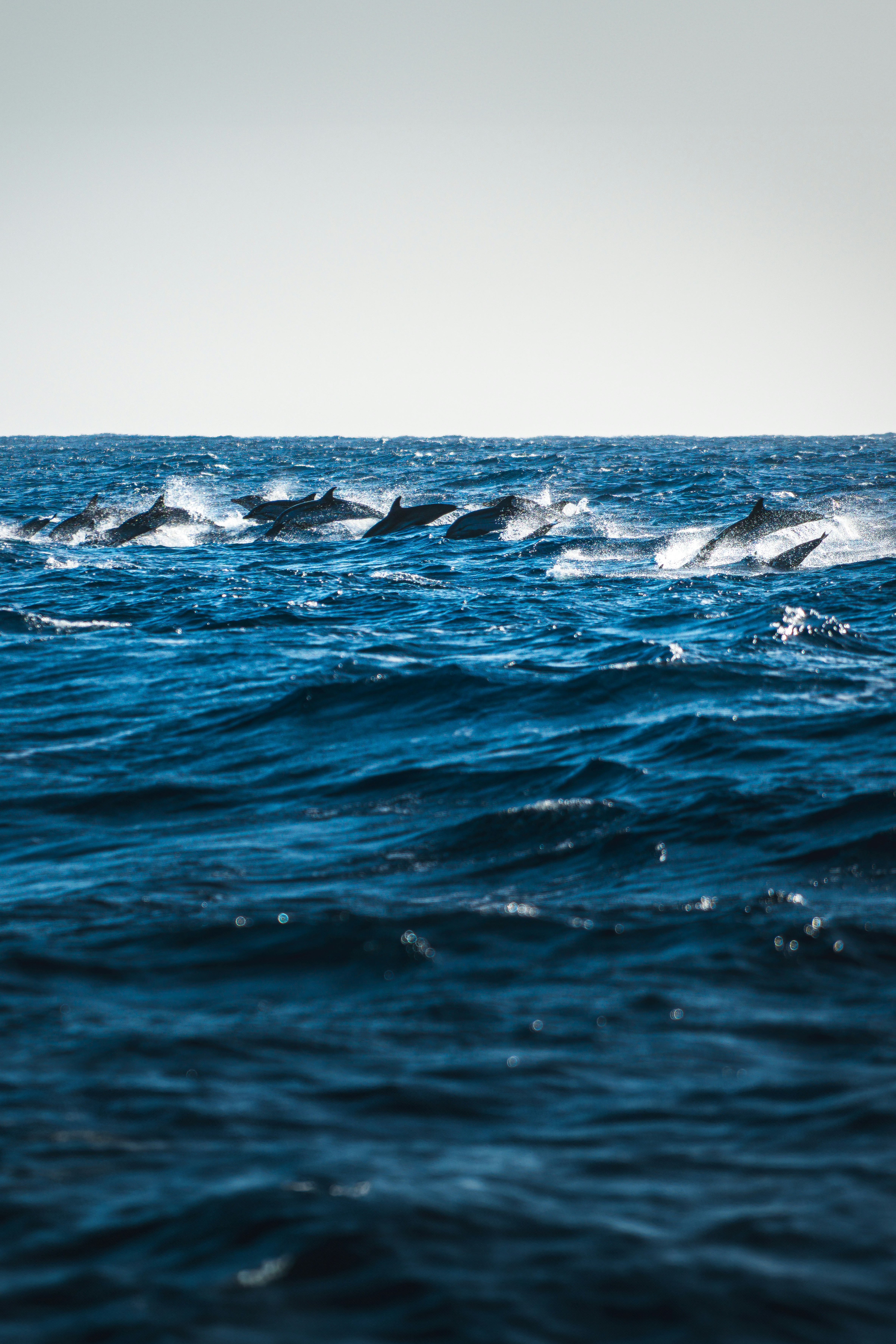 Photo by beckerworks