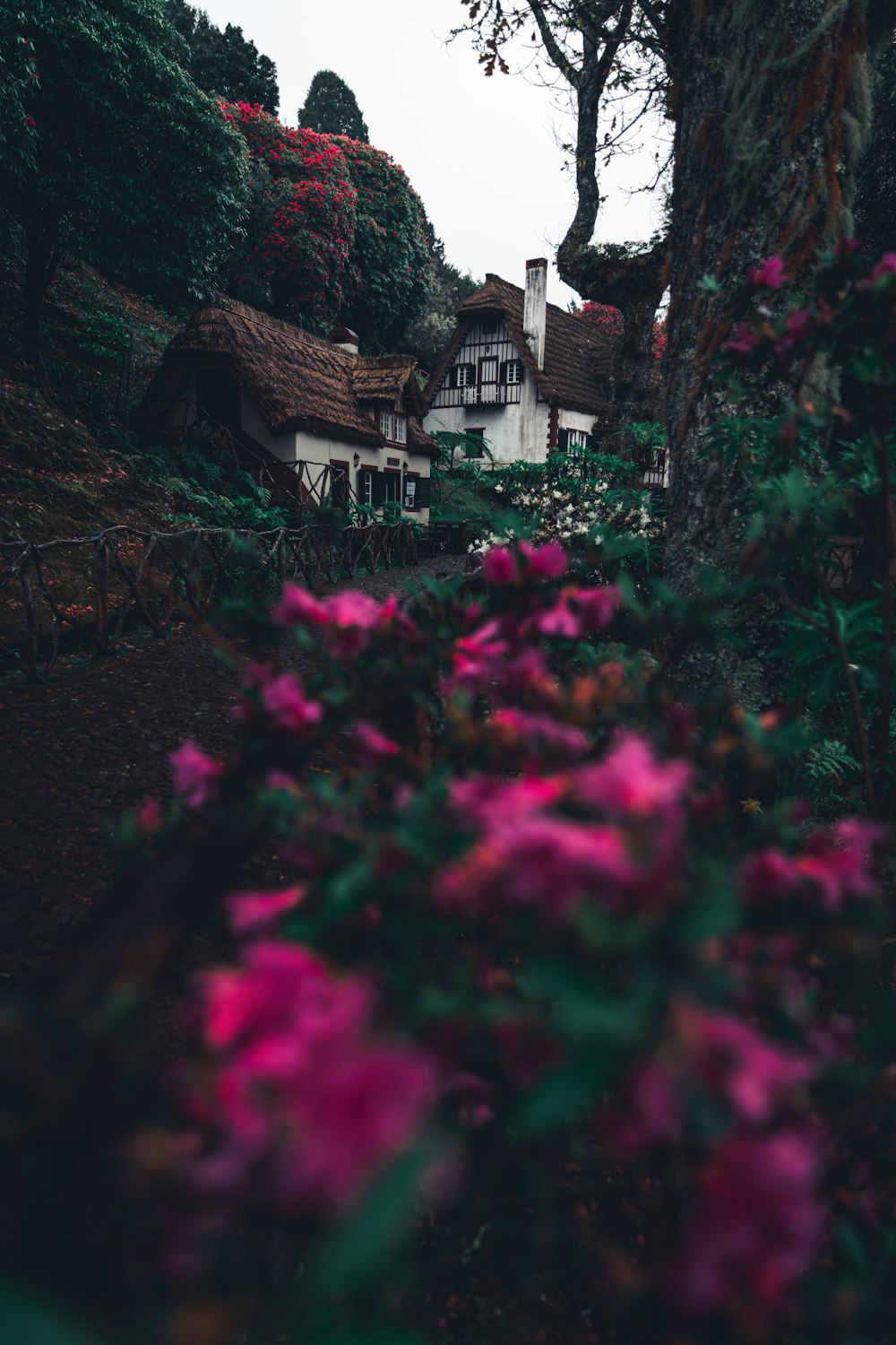 a house with a thatched roof surrounded by pink flowers