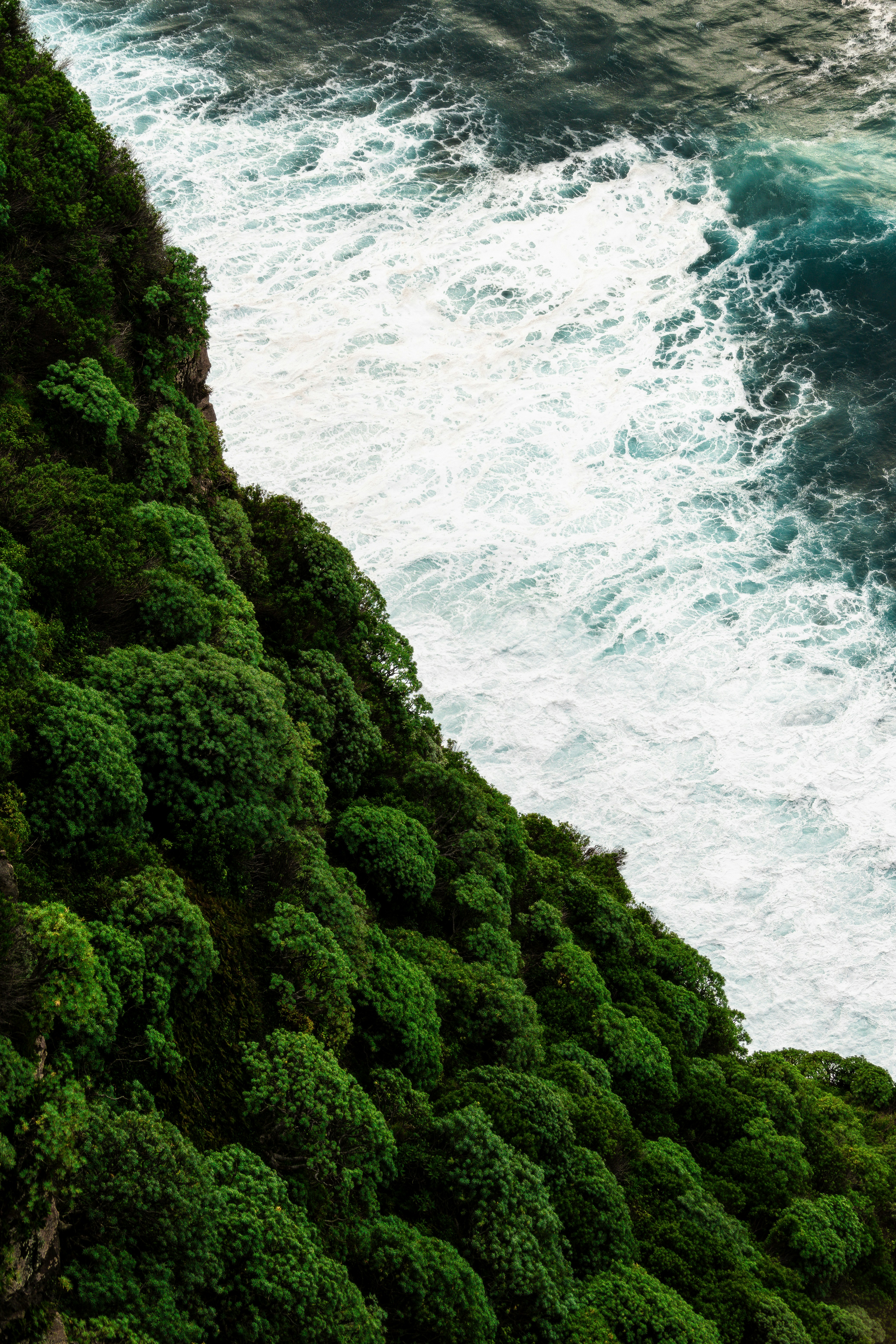 Photo by beckerworks