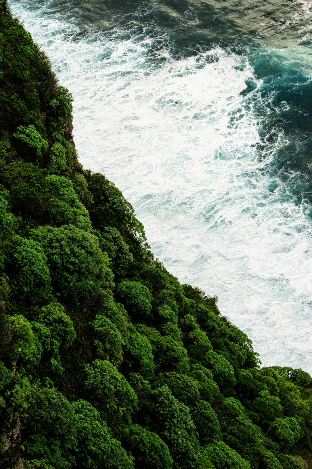 a large body of water next to a lush green hillside