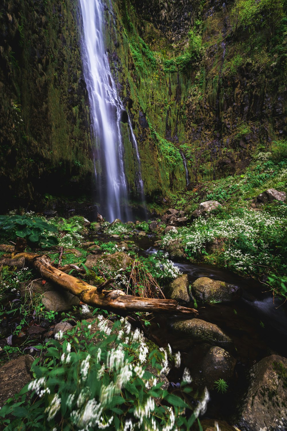 a waterfall in the middle of a lush green forest