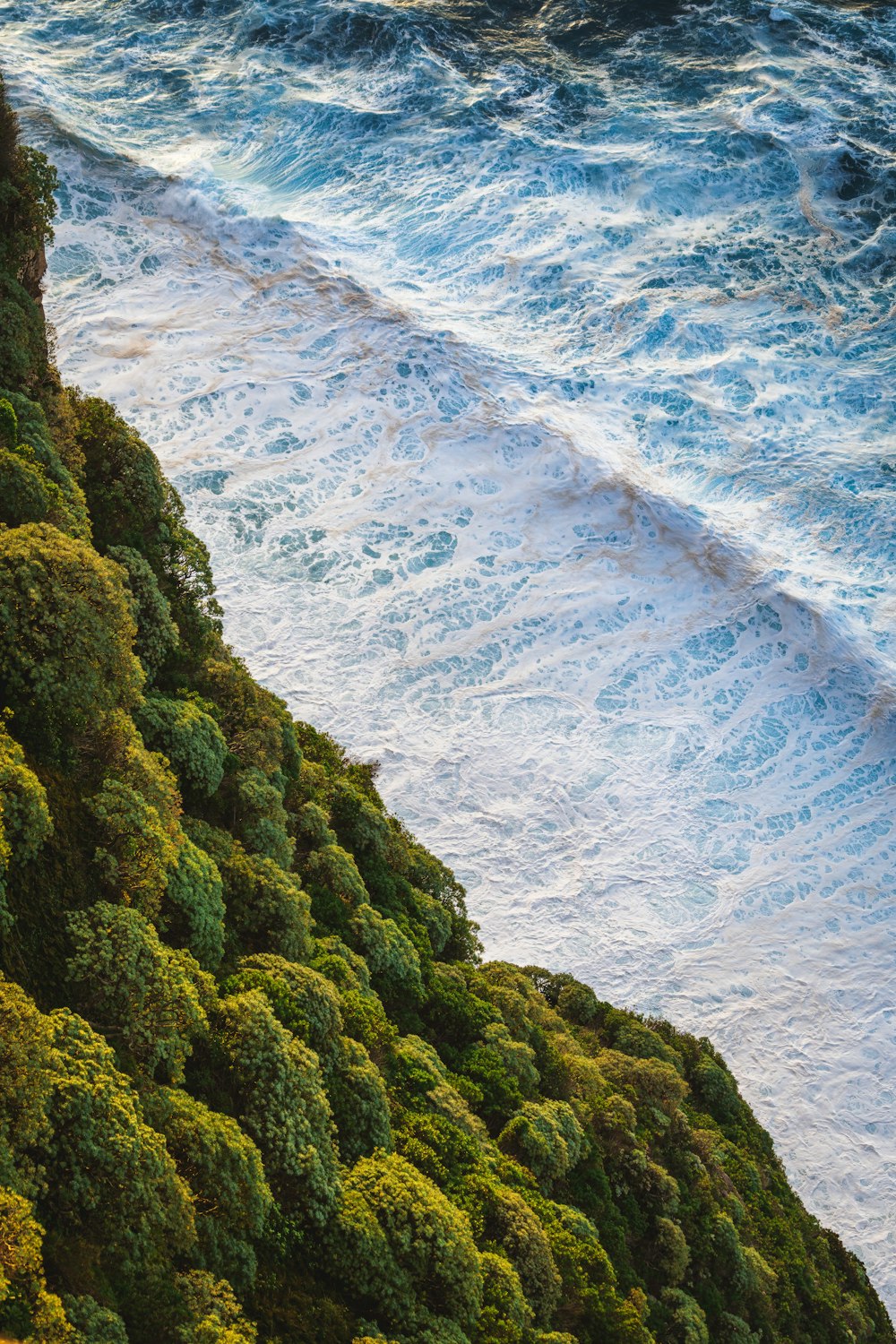 a bird standing on the edge of a cliff next to the ocean