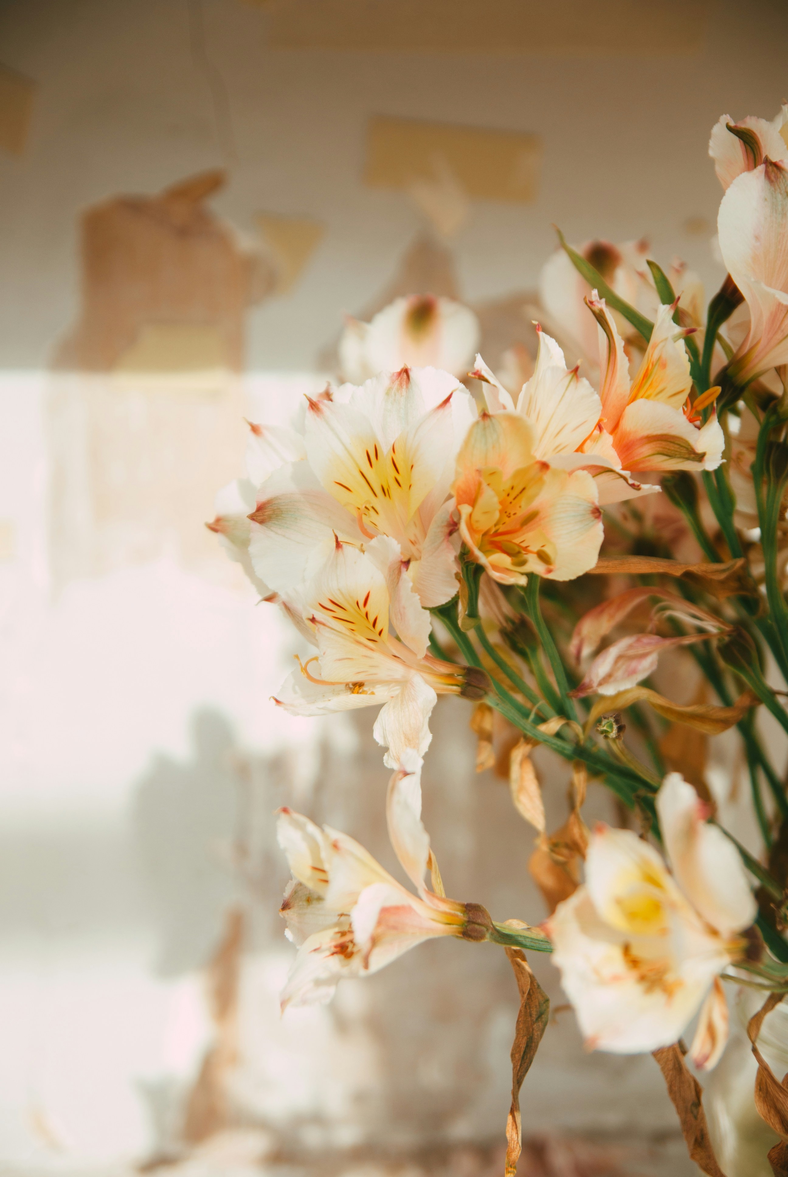 Photo by moonmoons_days