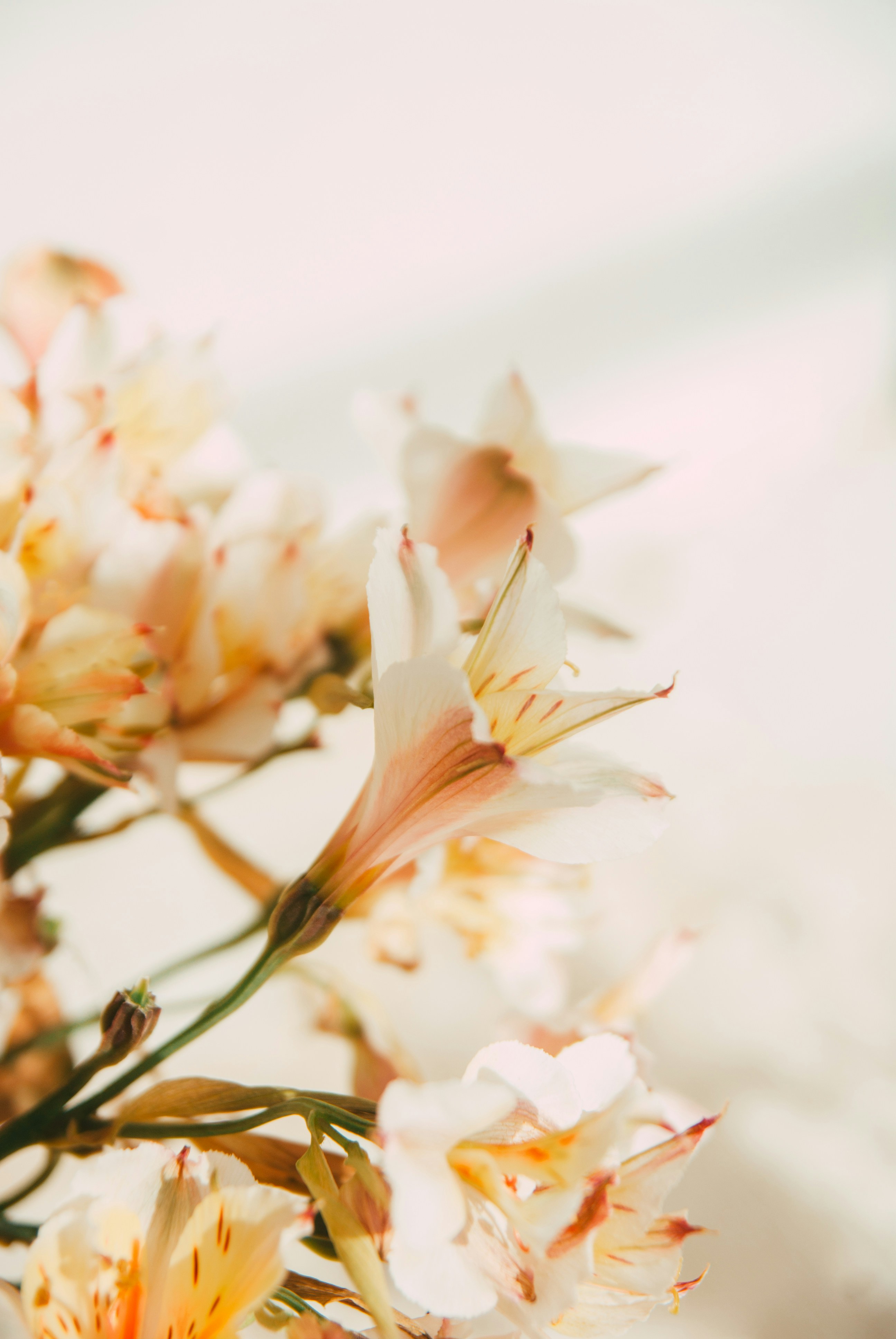 Photo by moonmoons_days