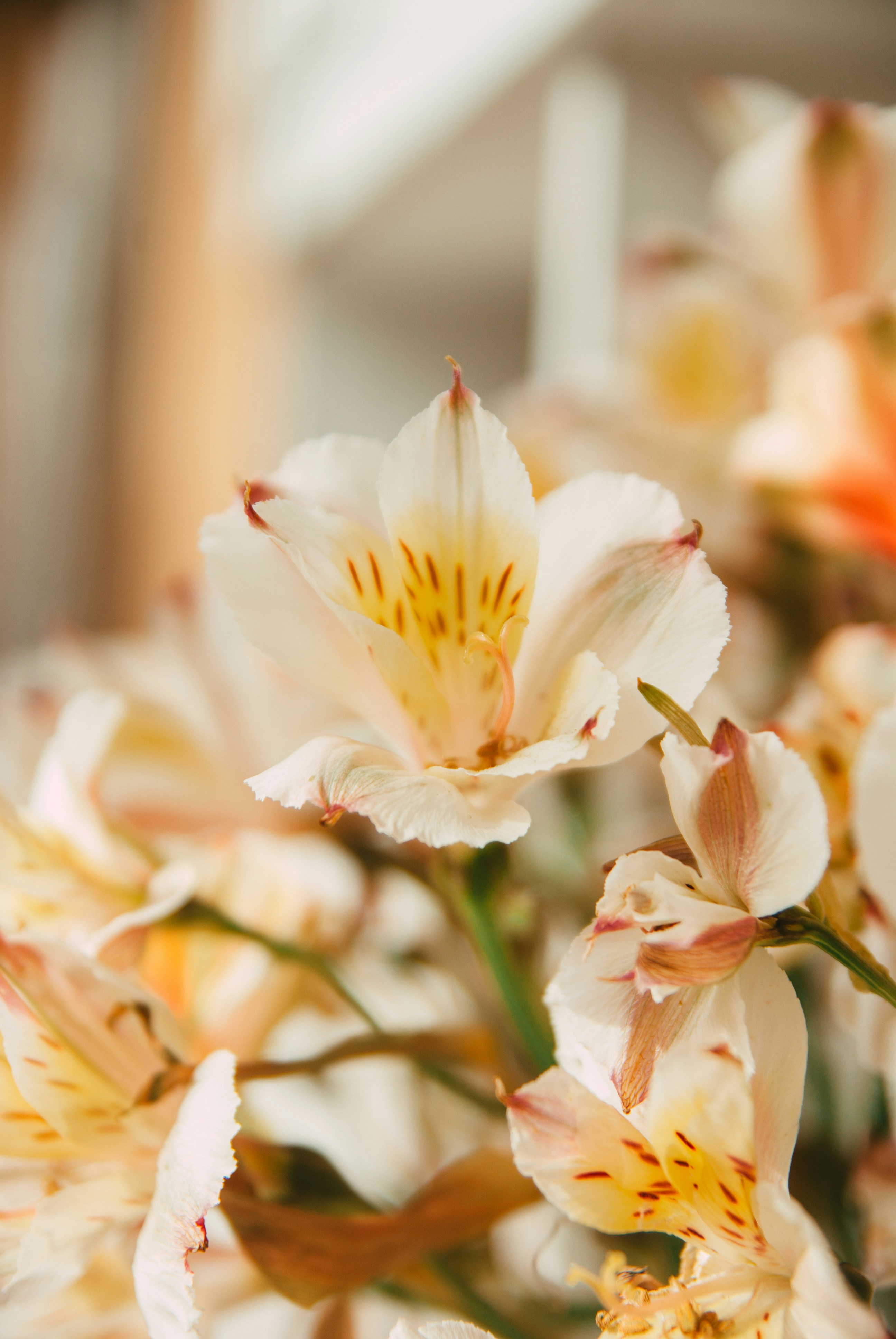 Photo by moonmoons_days